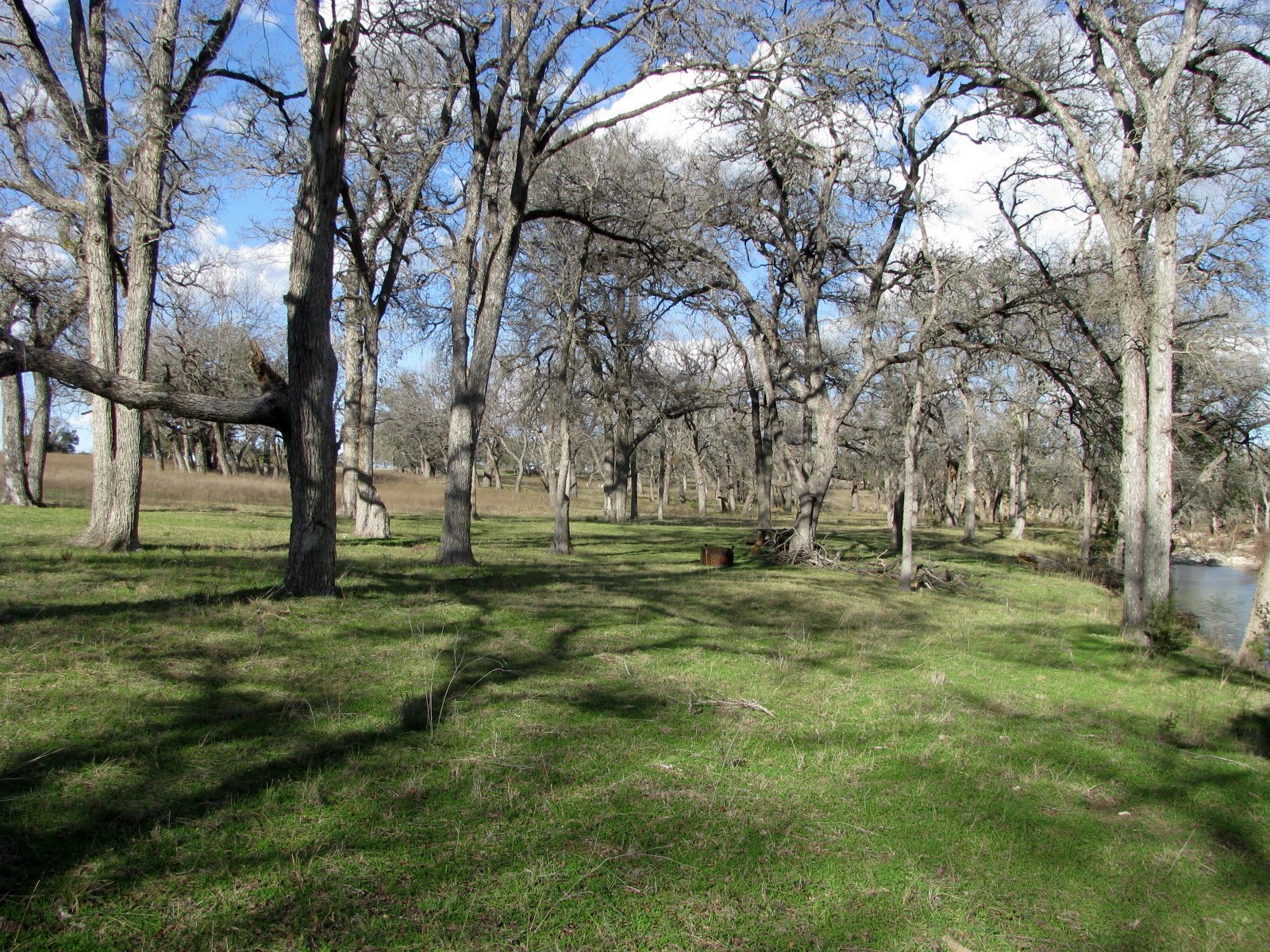 1248 Buffalo Creek Drive Evant TX 76525
