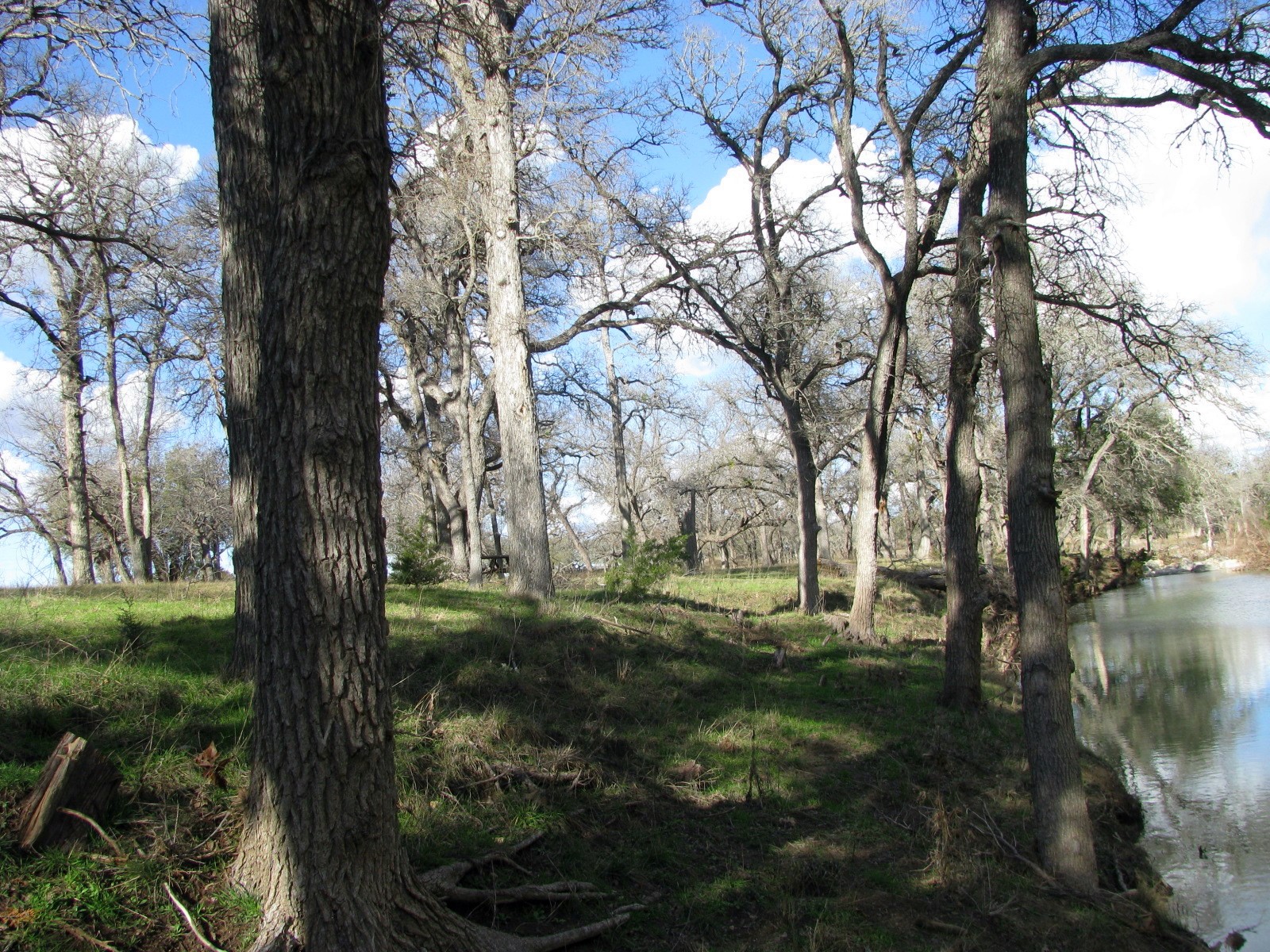 1248 Buffalo Creek Drive Evant TX 76525