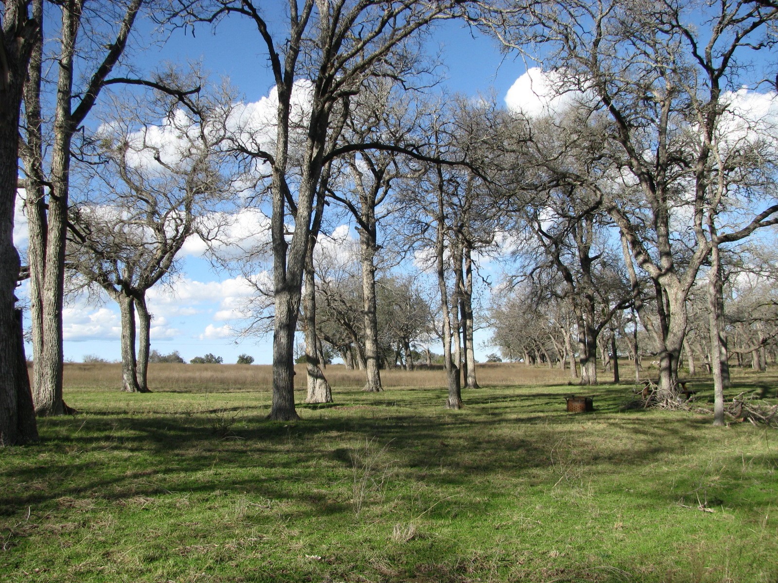 1248 Buffalo Creek Drive Evant TX 76525