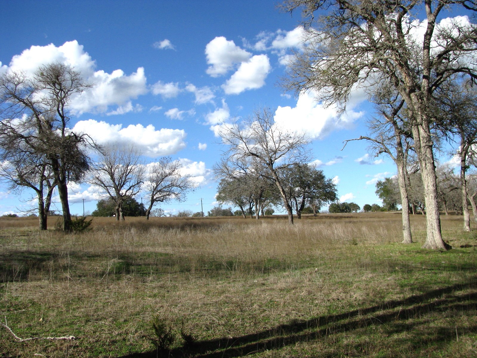 1248 Buffalo Creek Drive Evant TX 76525