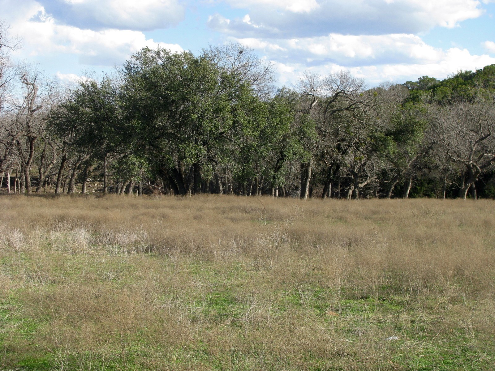 1248 Buffalo Creek Drive Evant TX 76525