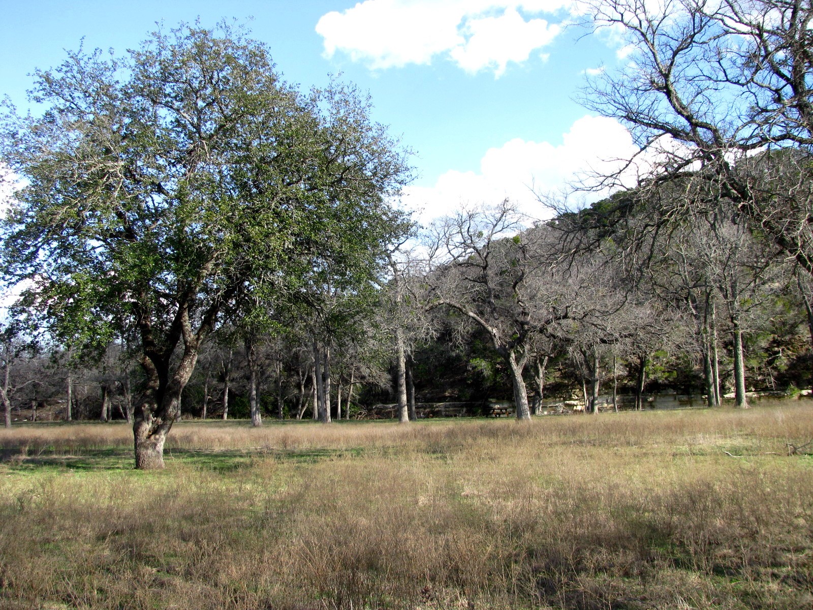 1248 Buffalo Creek Drive Evant TX 76525