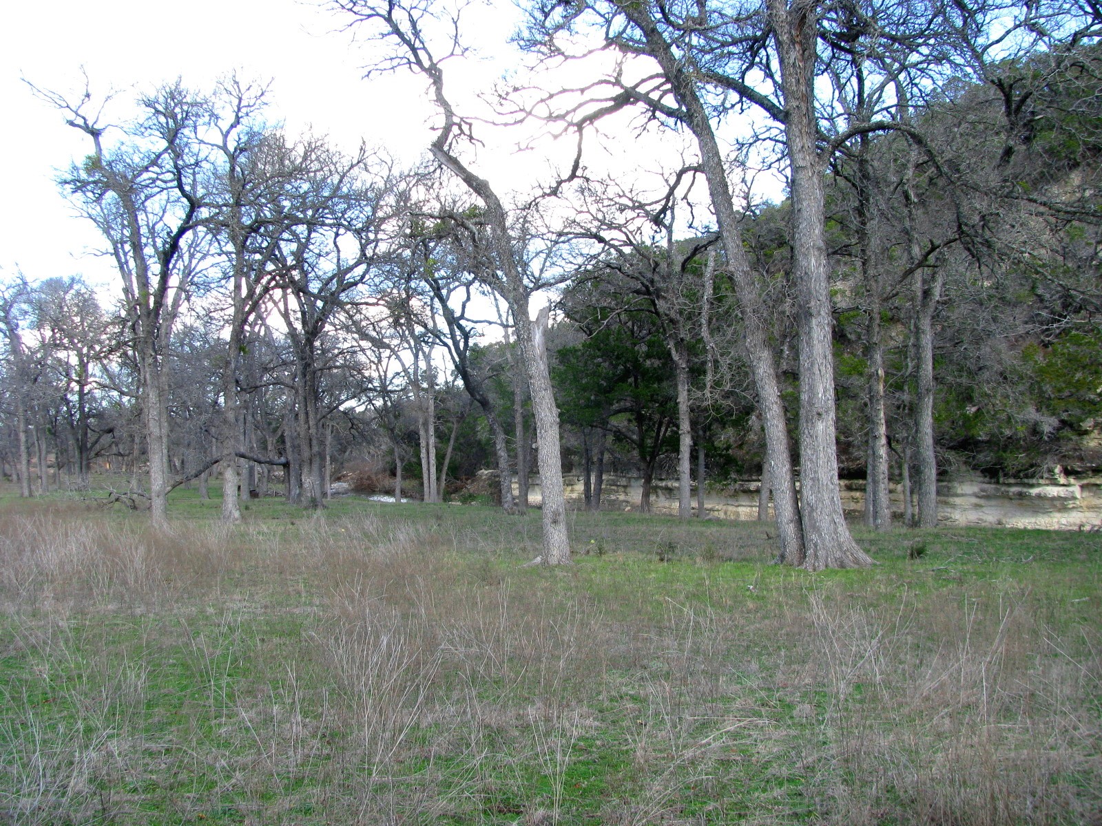 1248 Buffalo Creek Drive Evant TX 76525