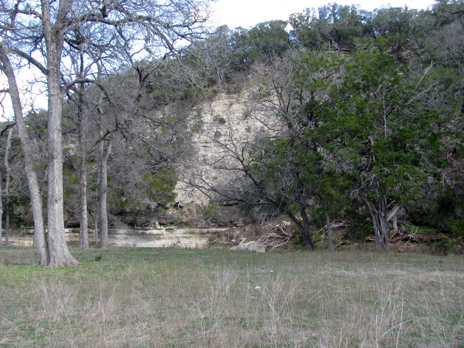 1248 Buffalo Creek Drive Evant TX 76525