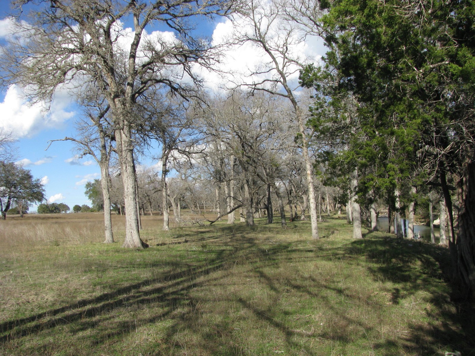 1248 Buffalo Creek Drive Evant TX 76525