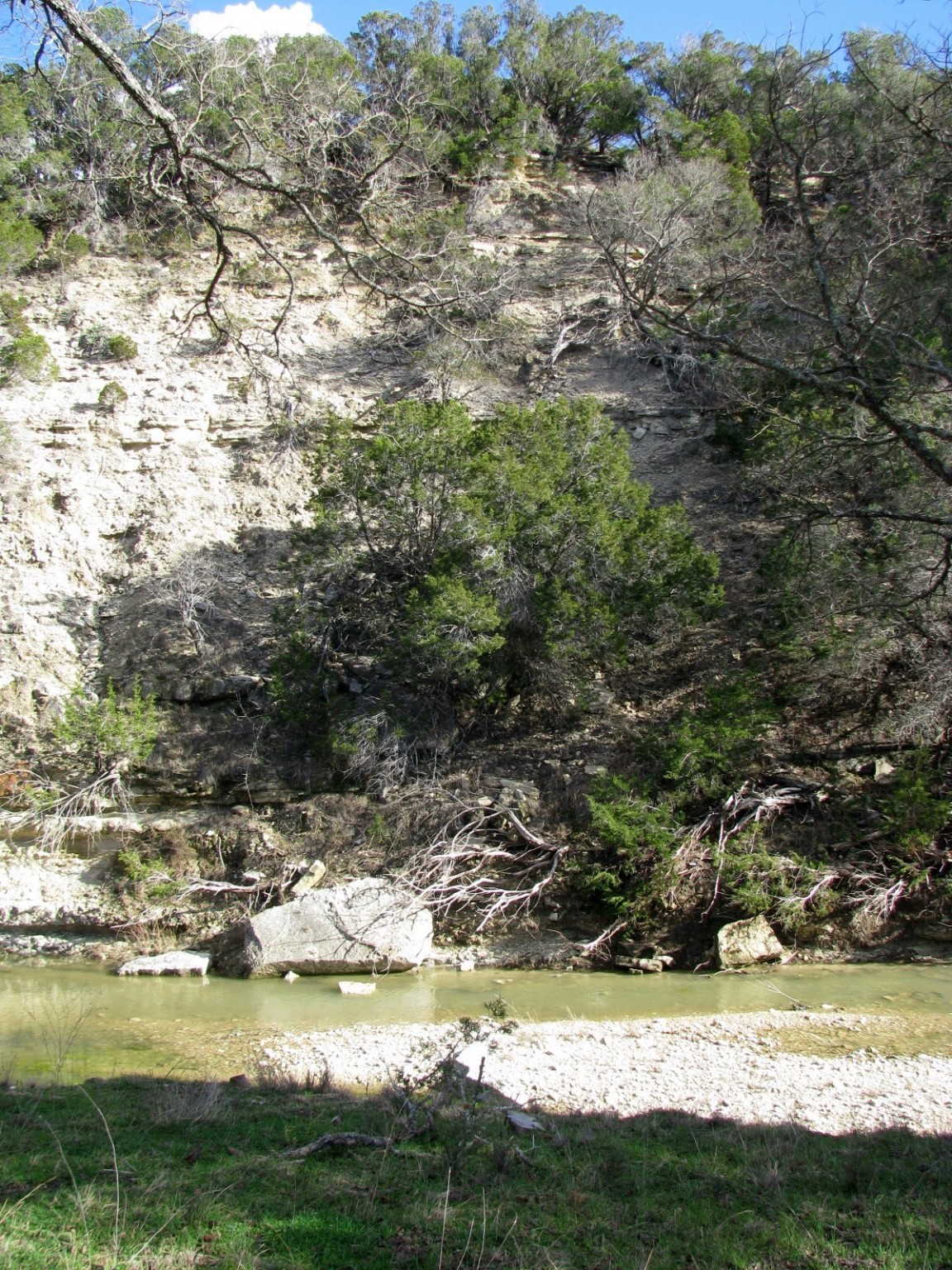 1248 Buffalo Creek Drive Evant TX 76525