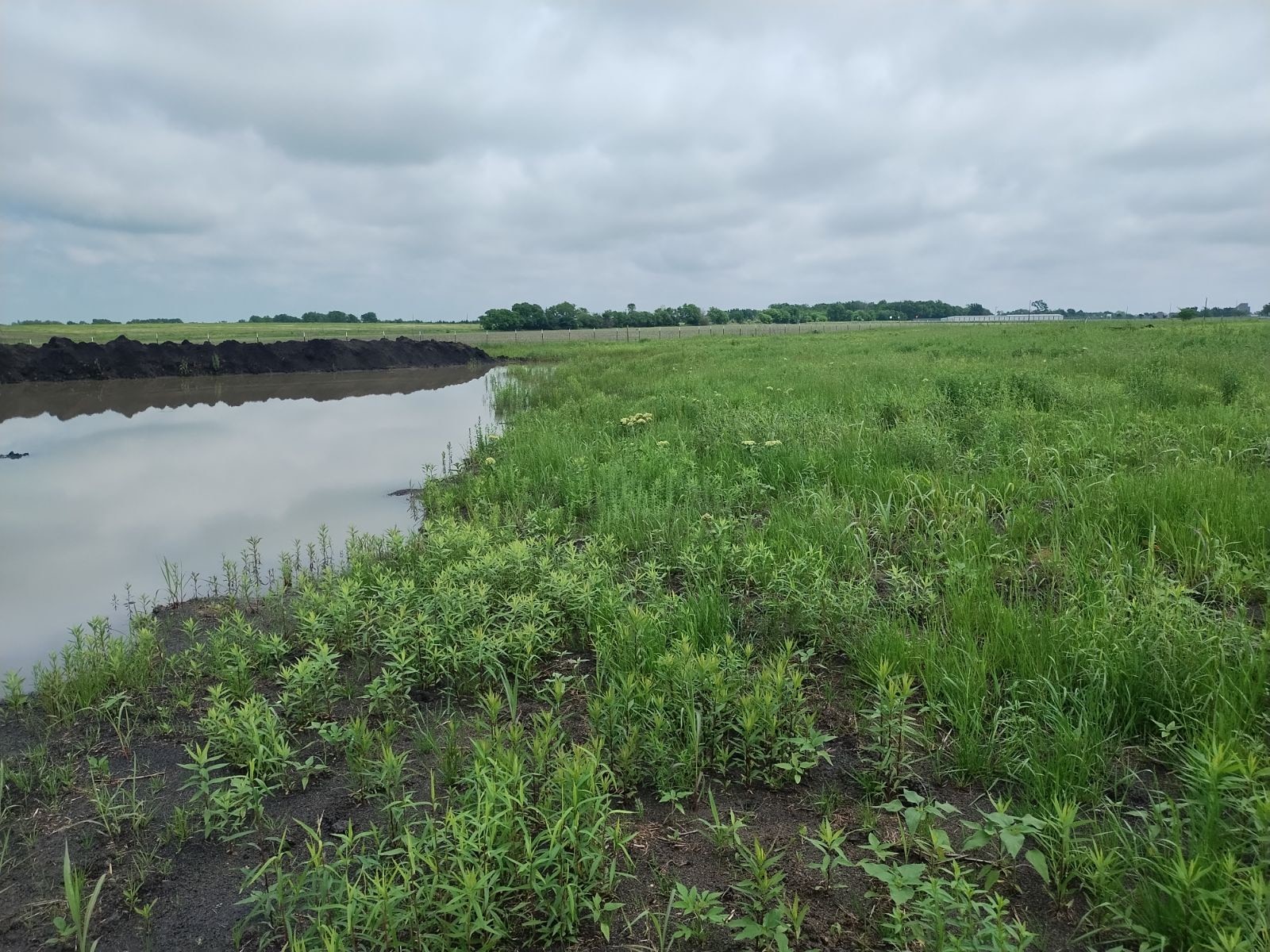 4225 County Road 4225 Cooper TX 75432