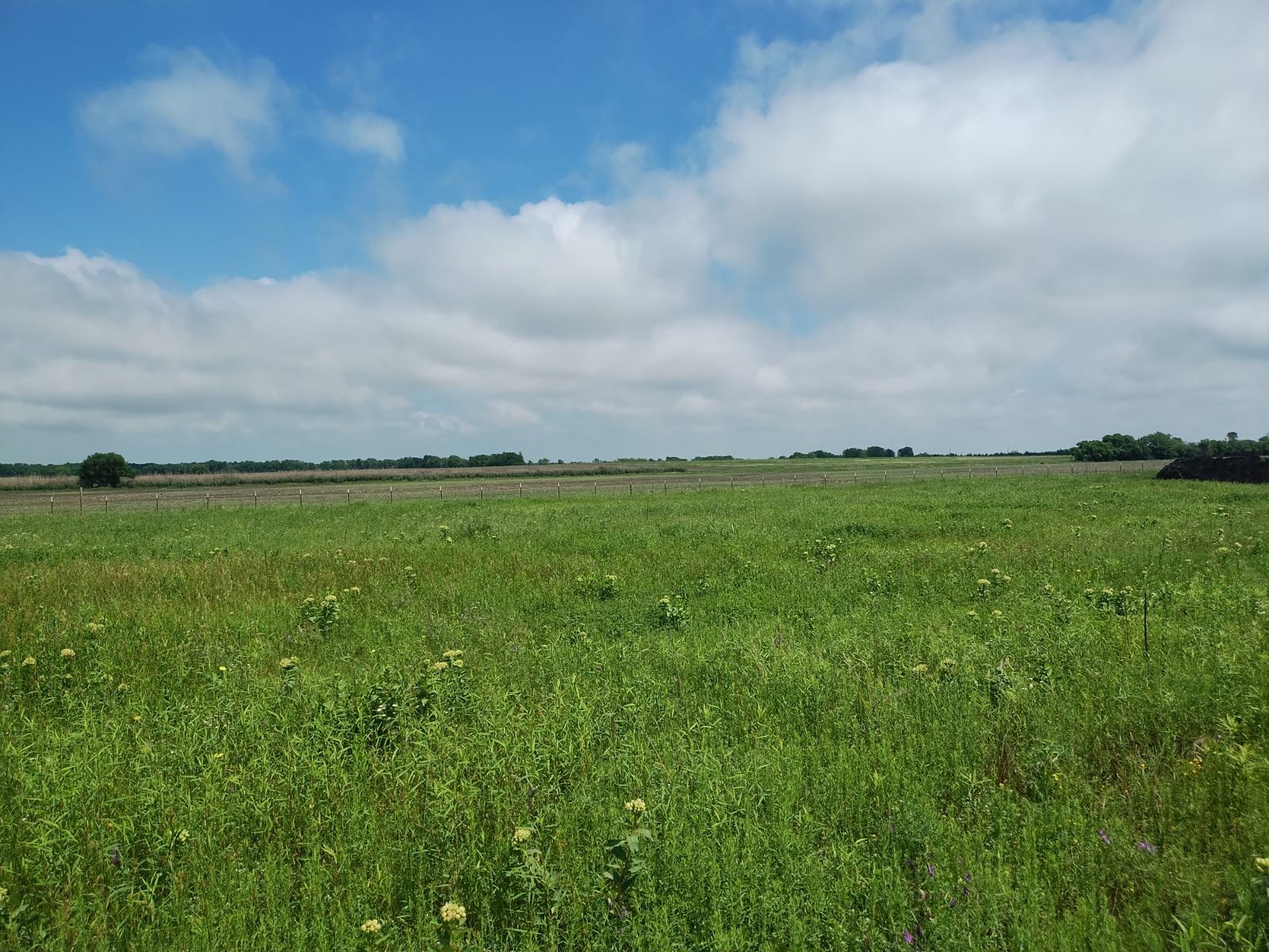 4225 County Road 4225 Cooper TX 75432