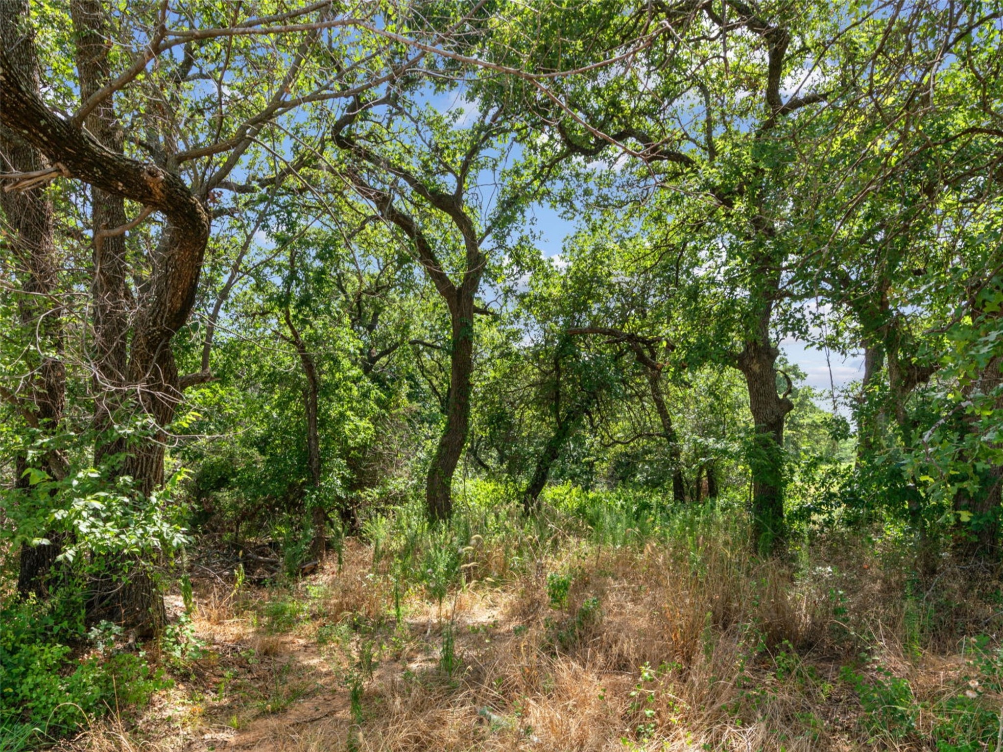 Lot 54 Kilkenny Road Poolville TX 76487