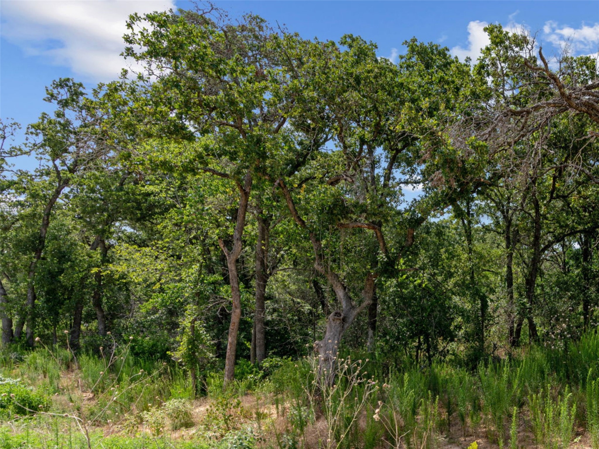 Lot 54 Kilkenny Road Poolville TX 76487