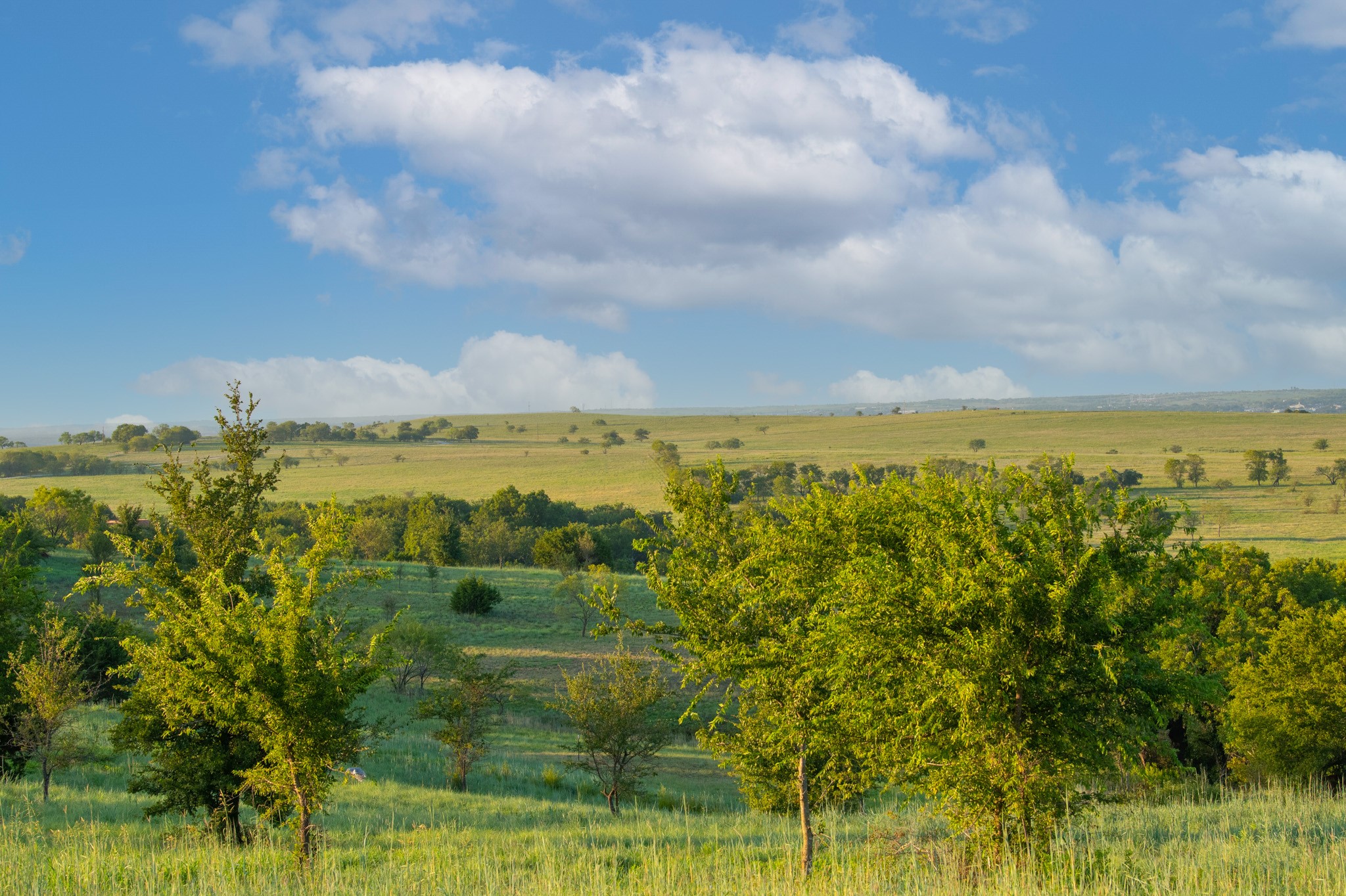 3027 Winding Creek Trail Aledo TX 76008