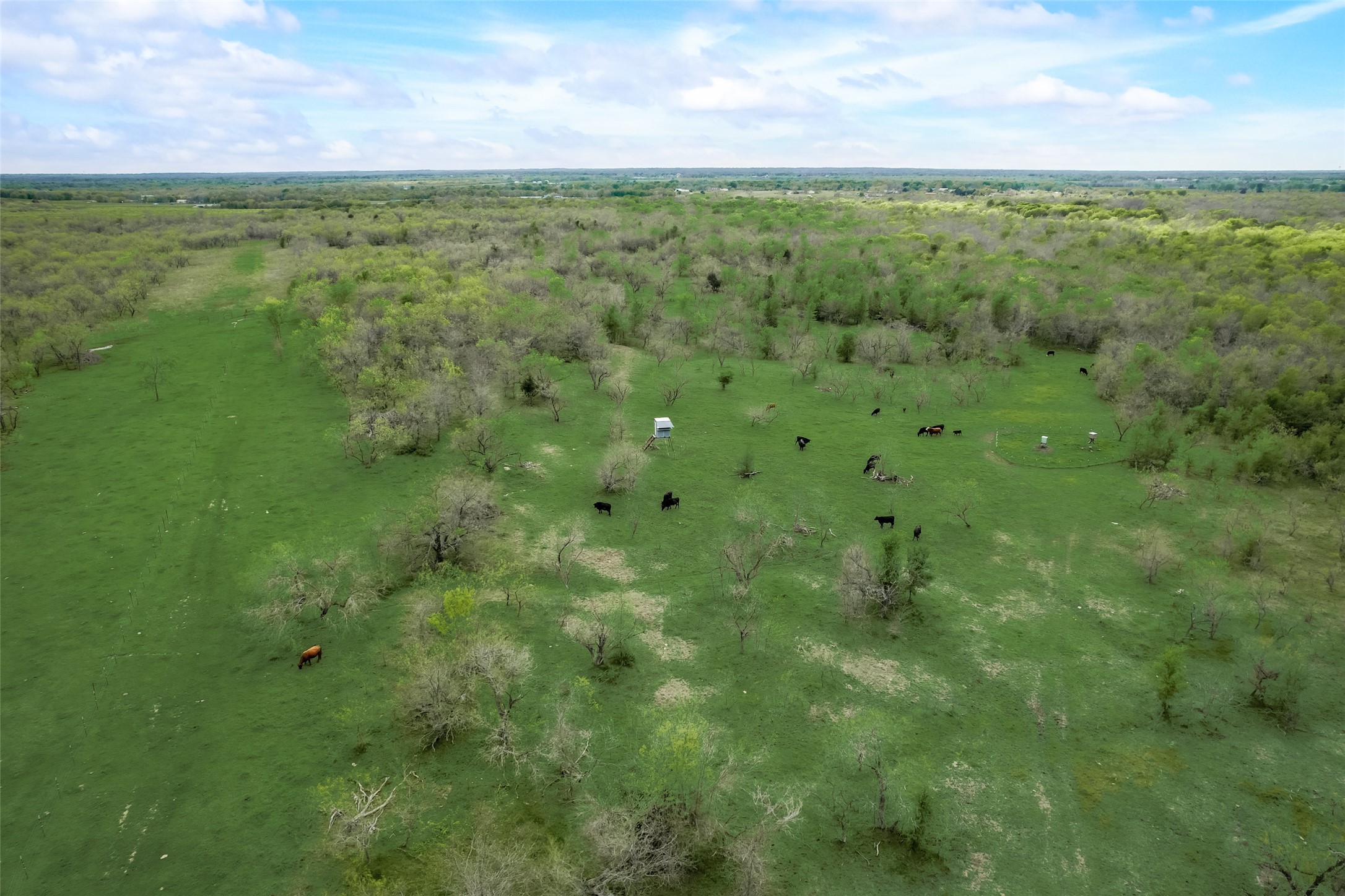 Tbd Cr-146 Kaufman TX 75142
