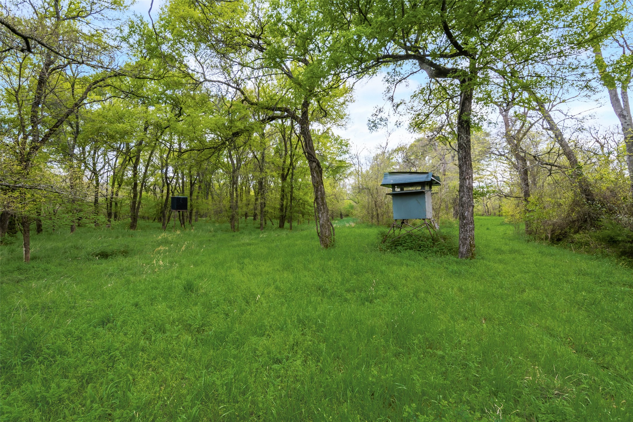 Tbd Cr-146 Kaufman TX 75142
