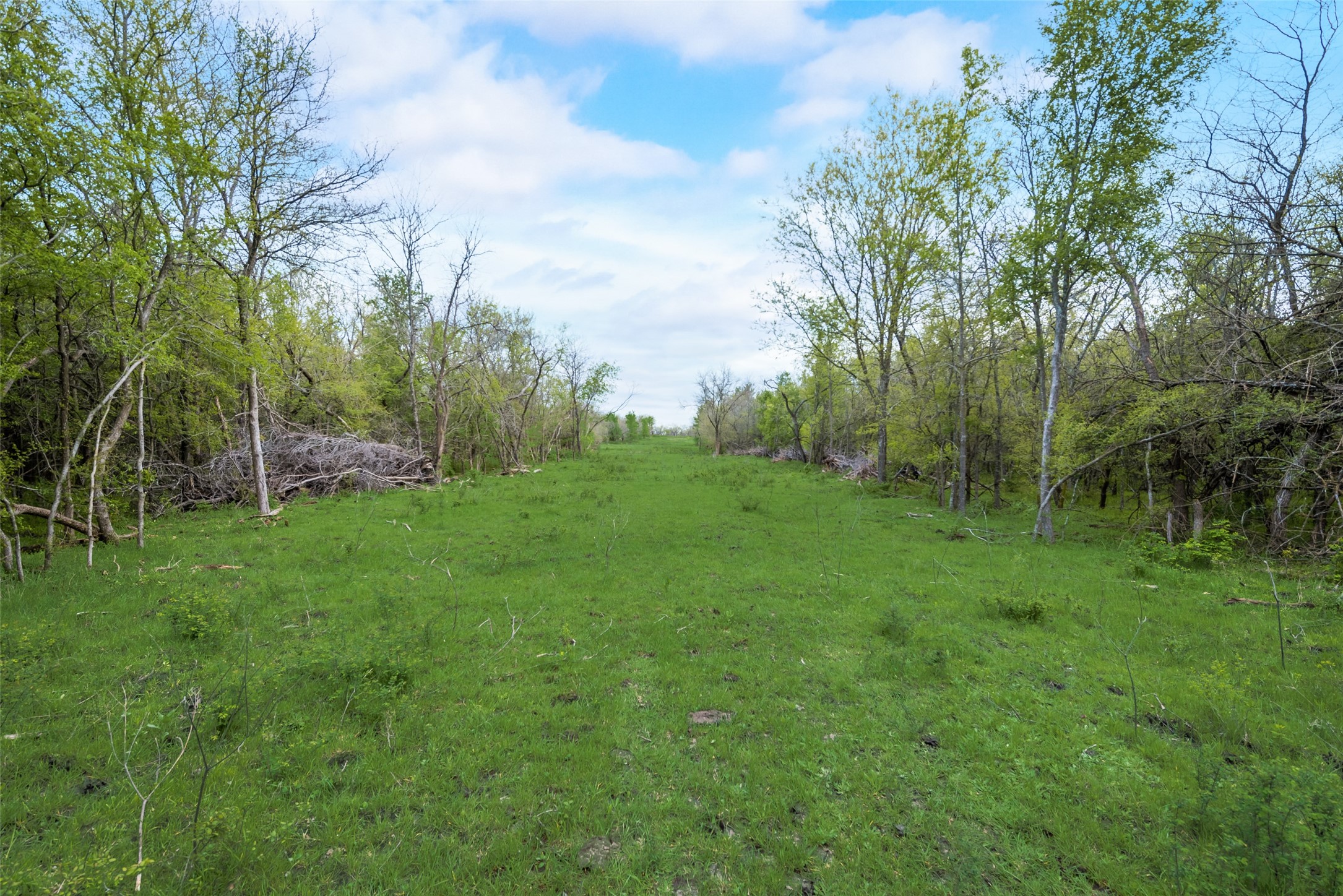 Tbd Cr-146 Kaufman TX 75142