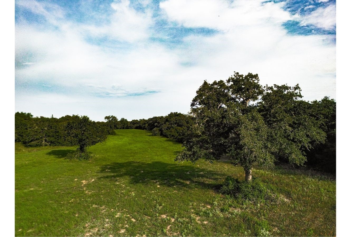 Tbd Cr 328 Milano TX 76556
