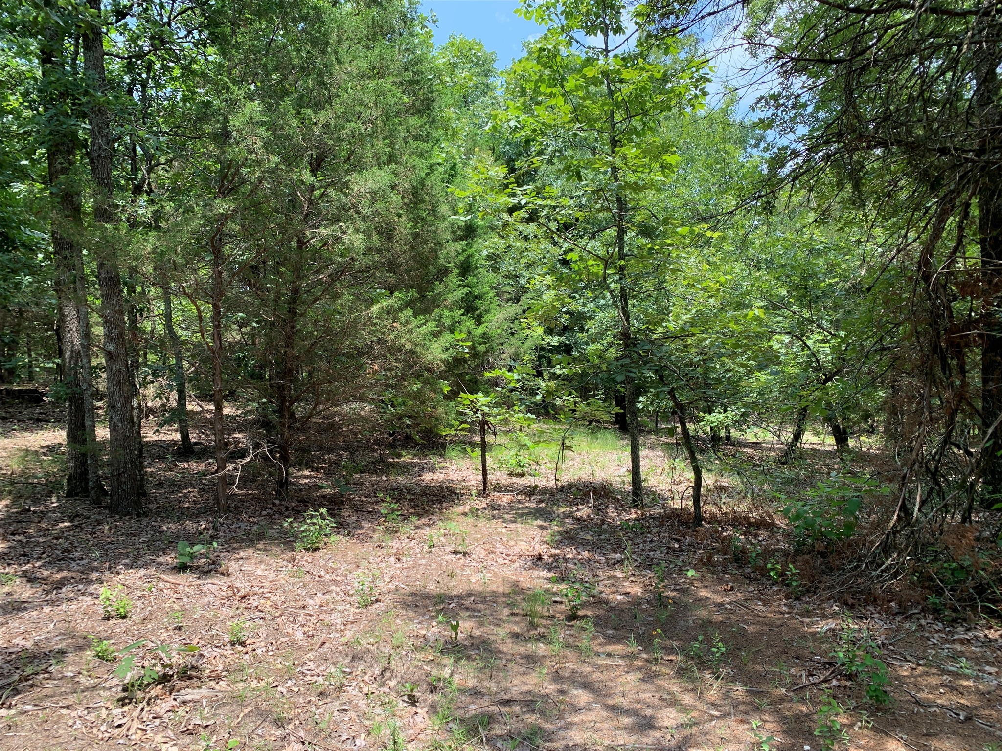 Tbd Hills Drive Athens TX 75751