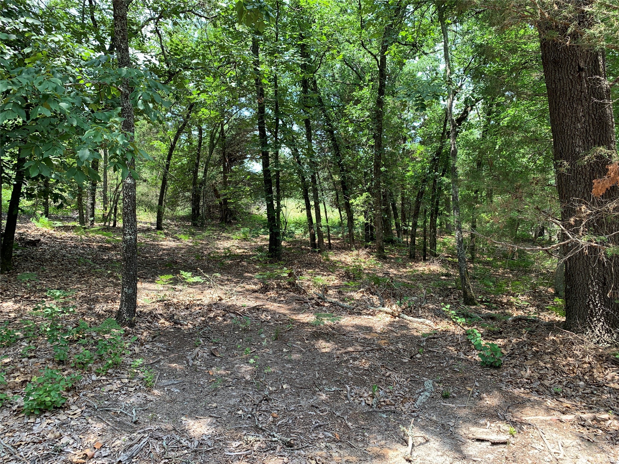 Tbd Hills Drive Athens TX 75751