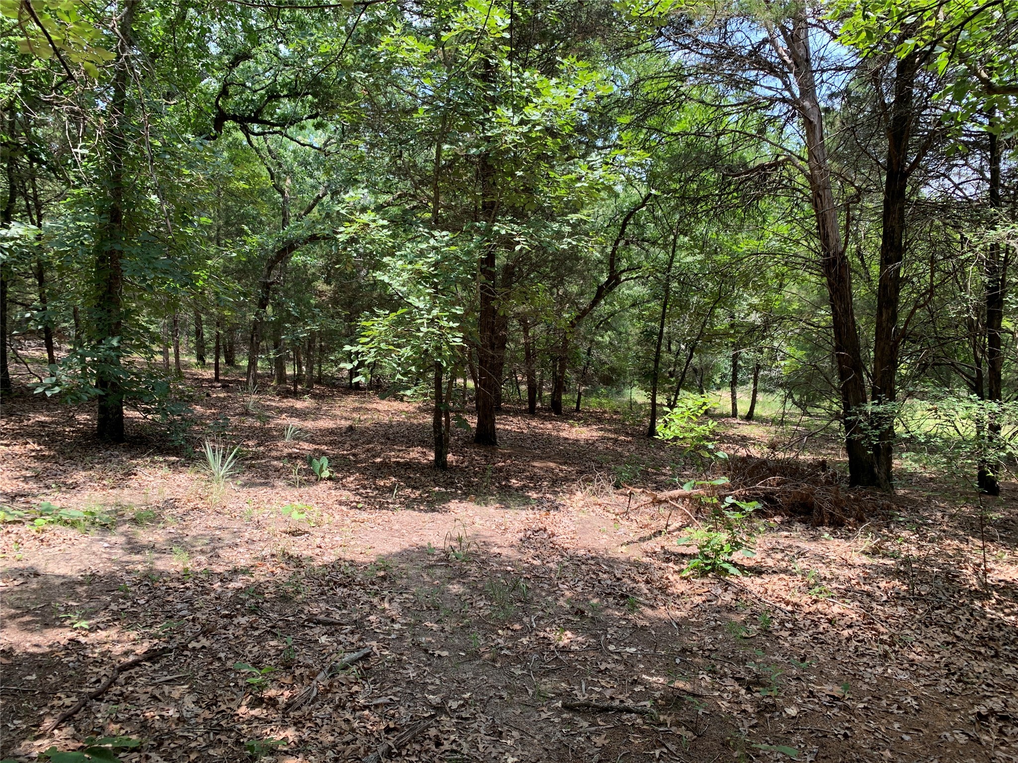 Tbd Hills Drive Athens TX 75751