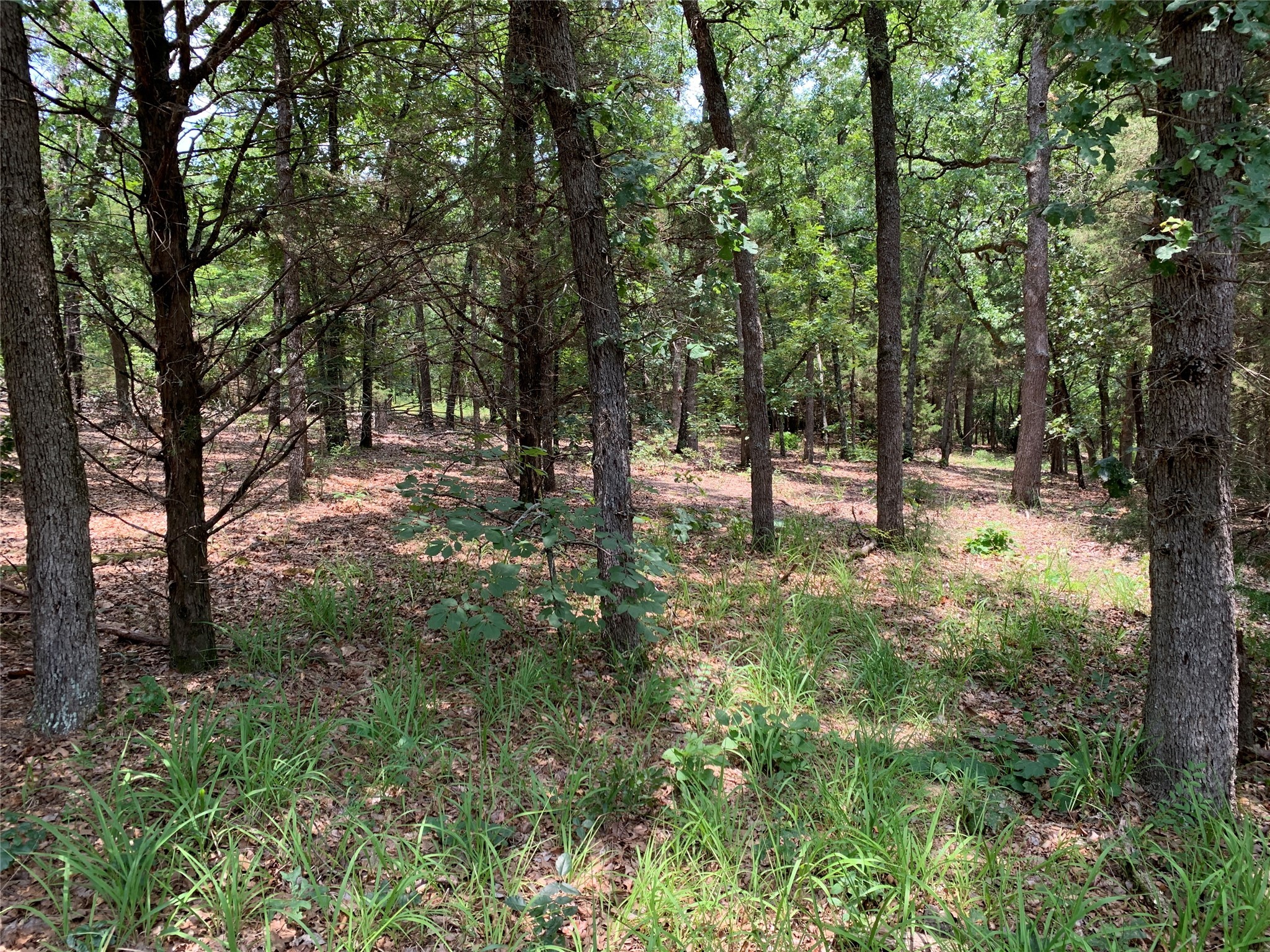 Tbd Hills Drive Athens TX 75751