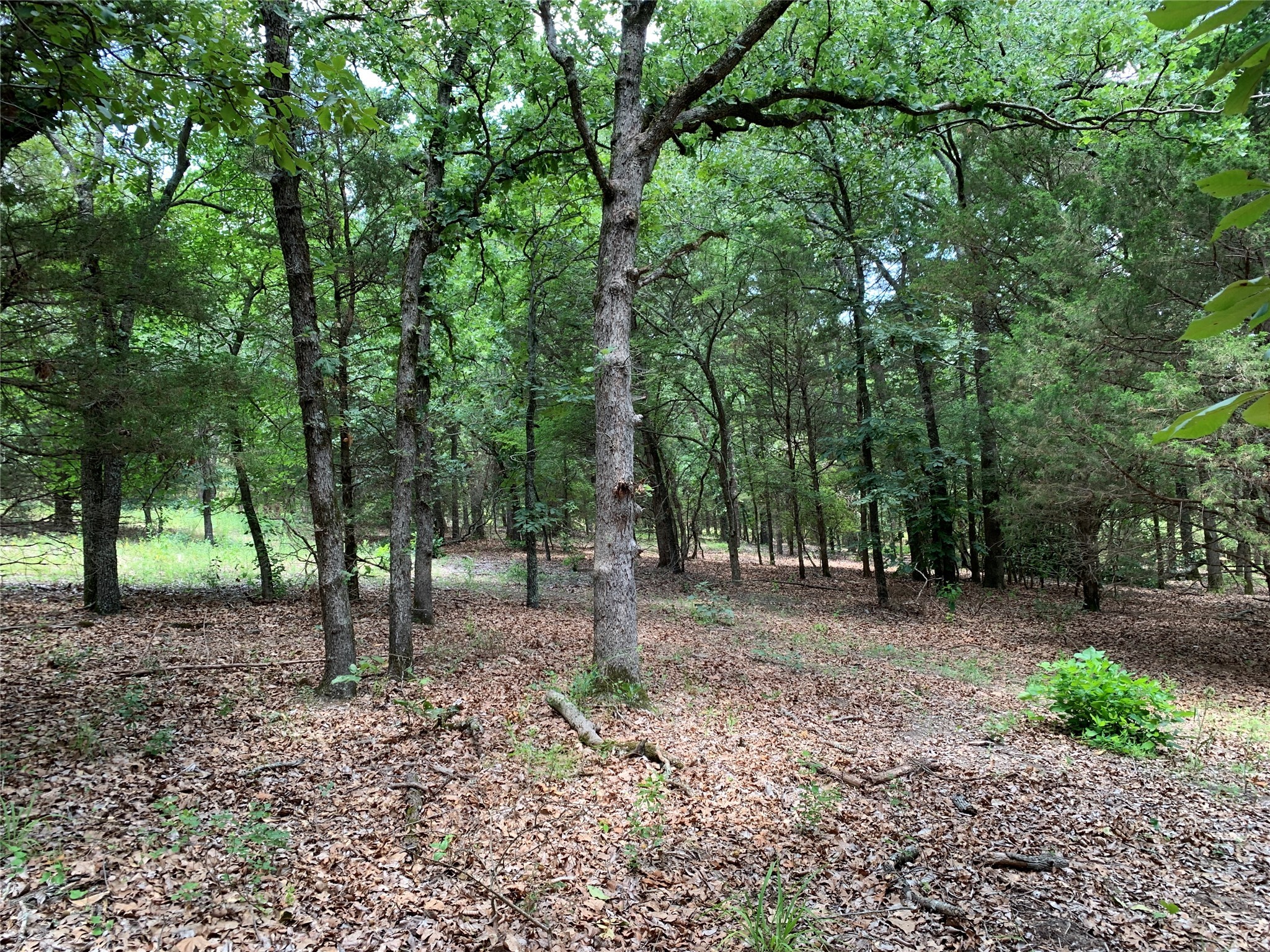 Tbd Hills Drive Athens TX 75751