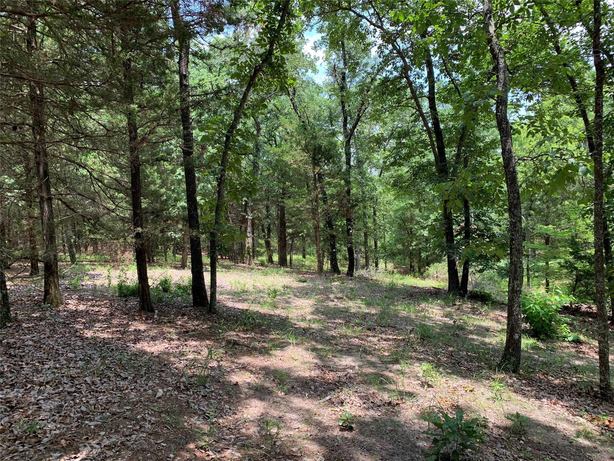 Tbd Hills Drive Athens TX 75751