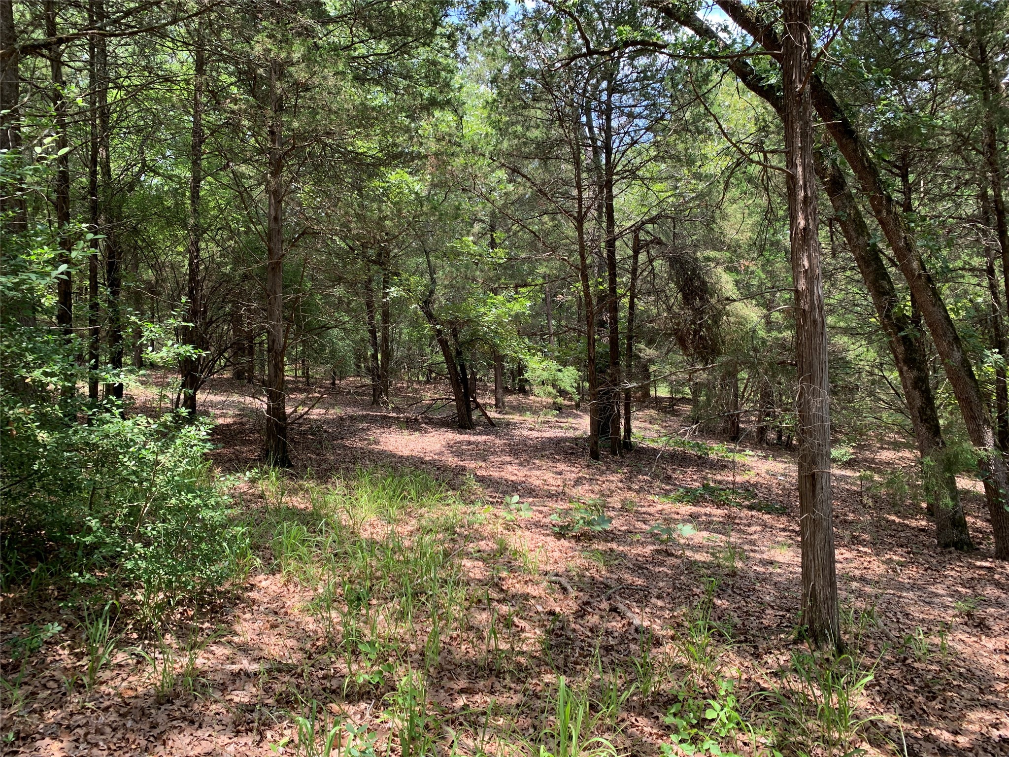 Tbd Hills Drive Athens TX 75751