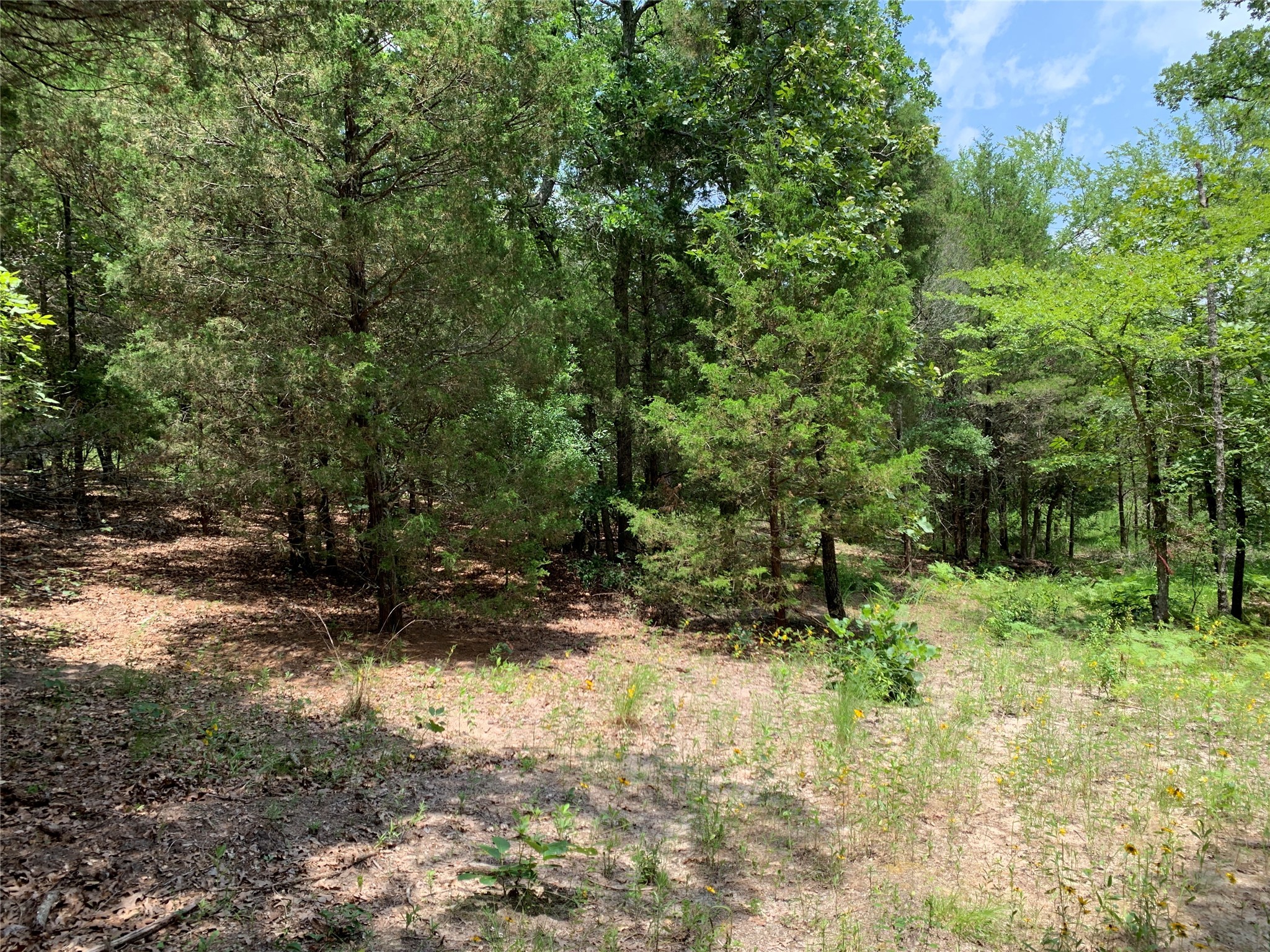 Tbd Hills Drive Athens TX 75751
