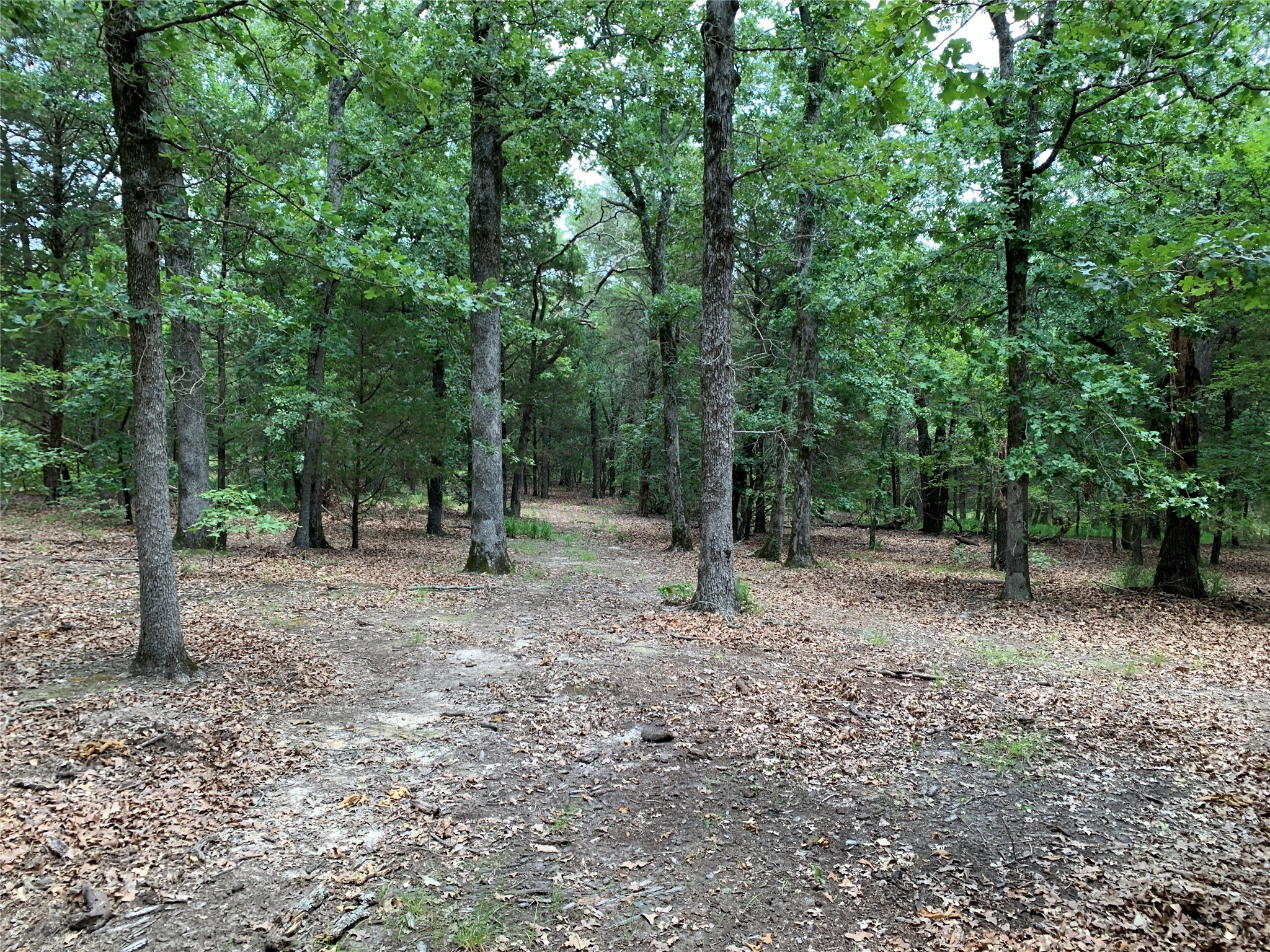 Tbd Hills Drive Athens TX 75751