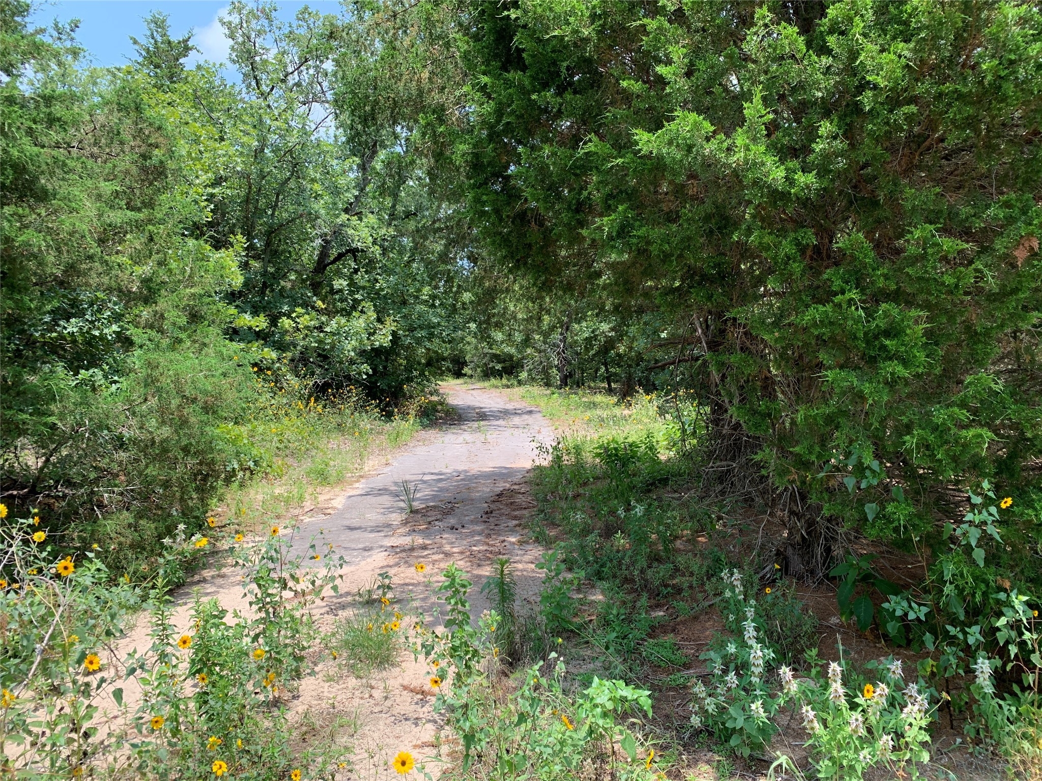 Tbd Hills Drive Athens TX 75751