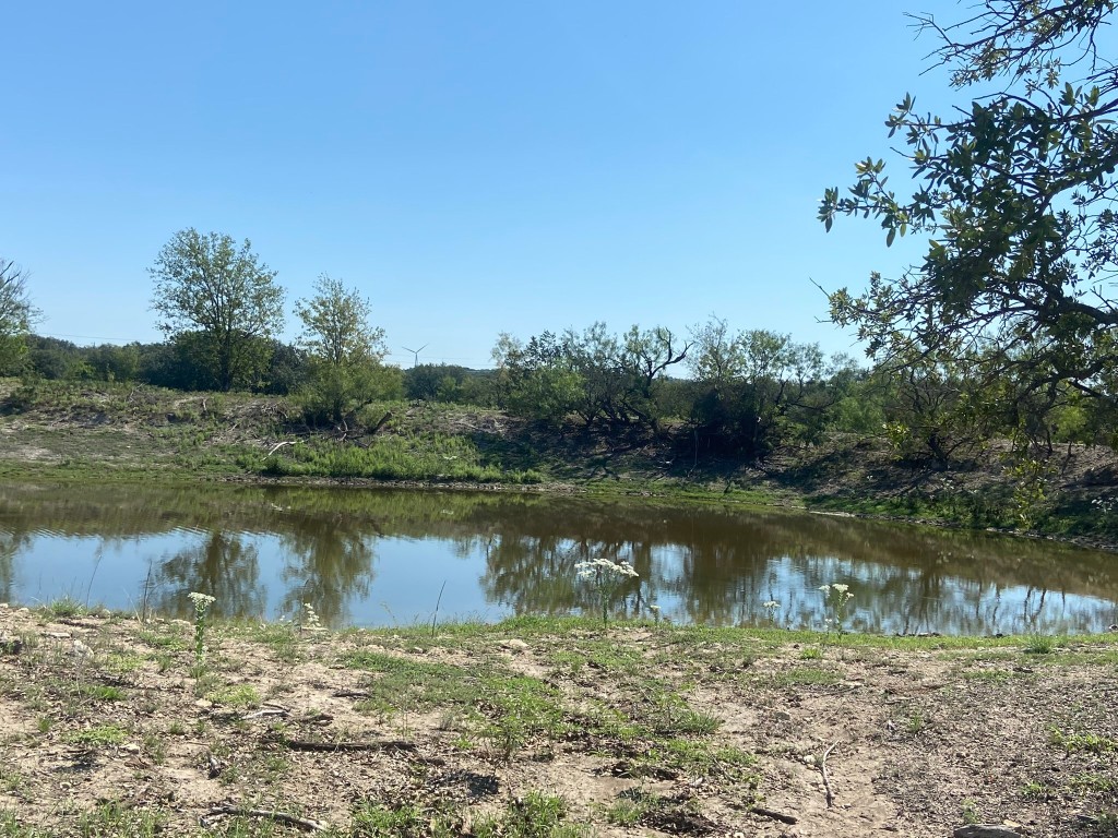 Tbd State Highway 16 S Goldthwaite TX 76844