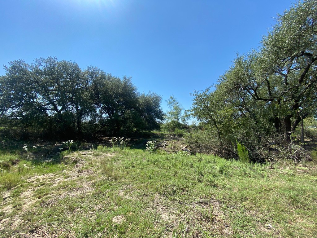 Tbd State Highway 16 S Goldthwaite TX 76844