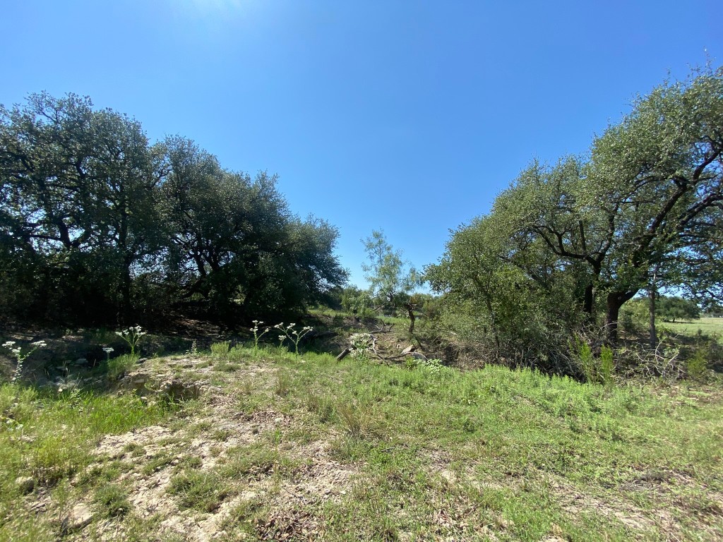 Tbd State Highway 16 S Goldthwaite TX 76844