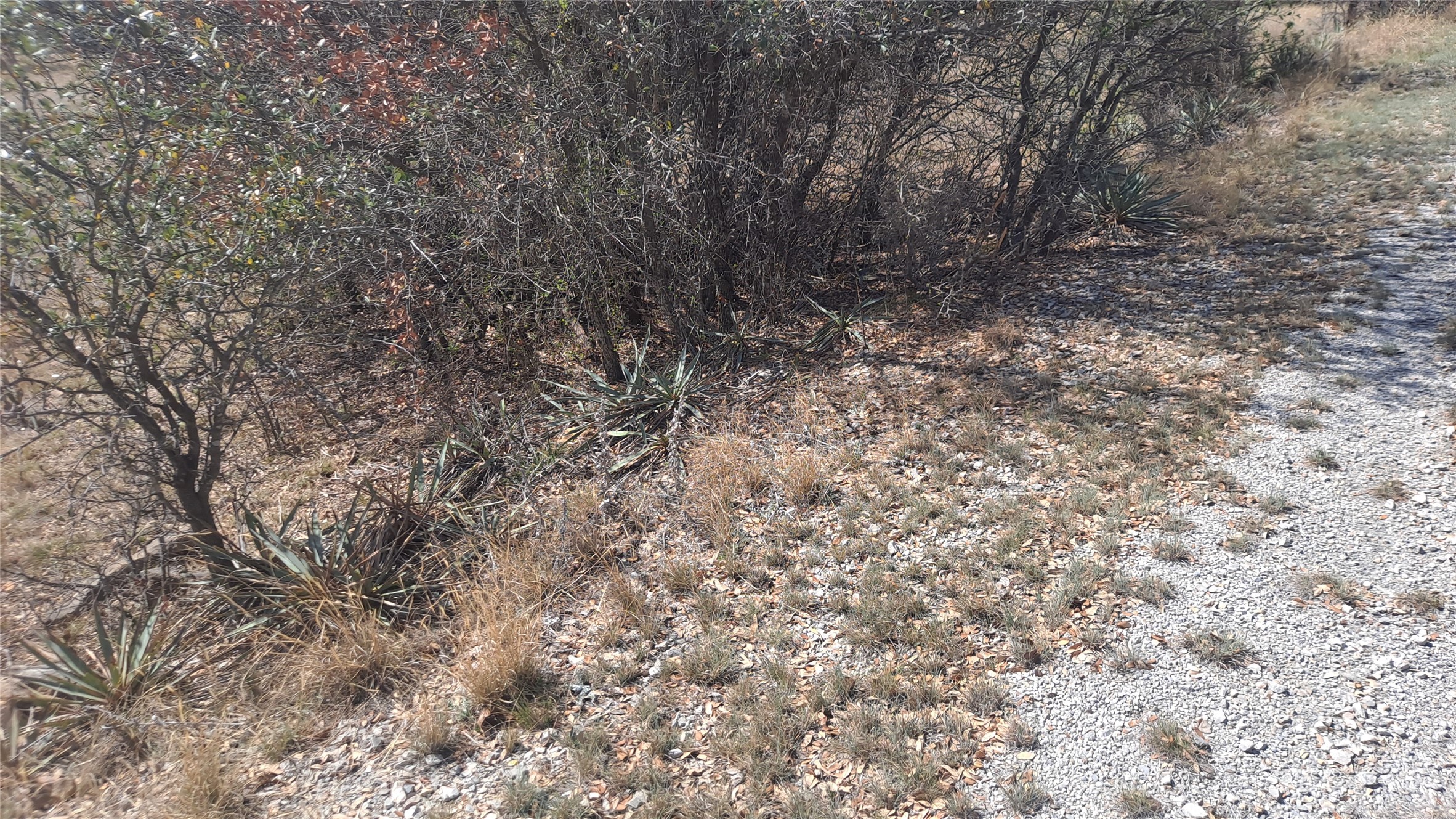 0 Oak Meadow Drive May TX 76857