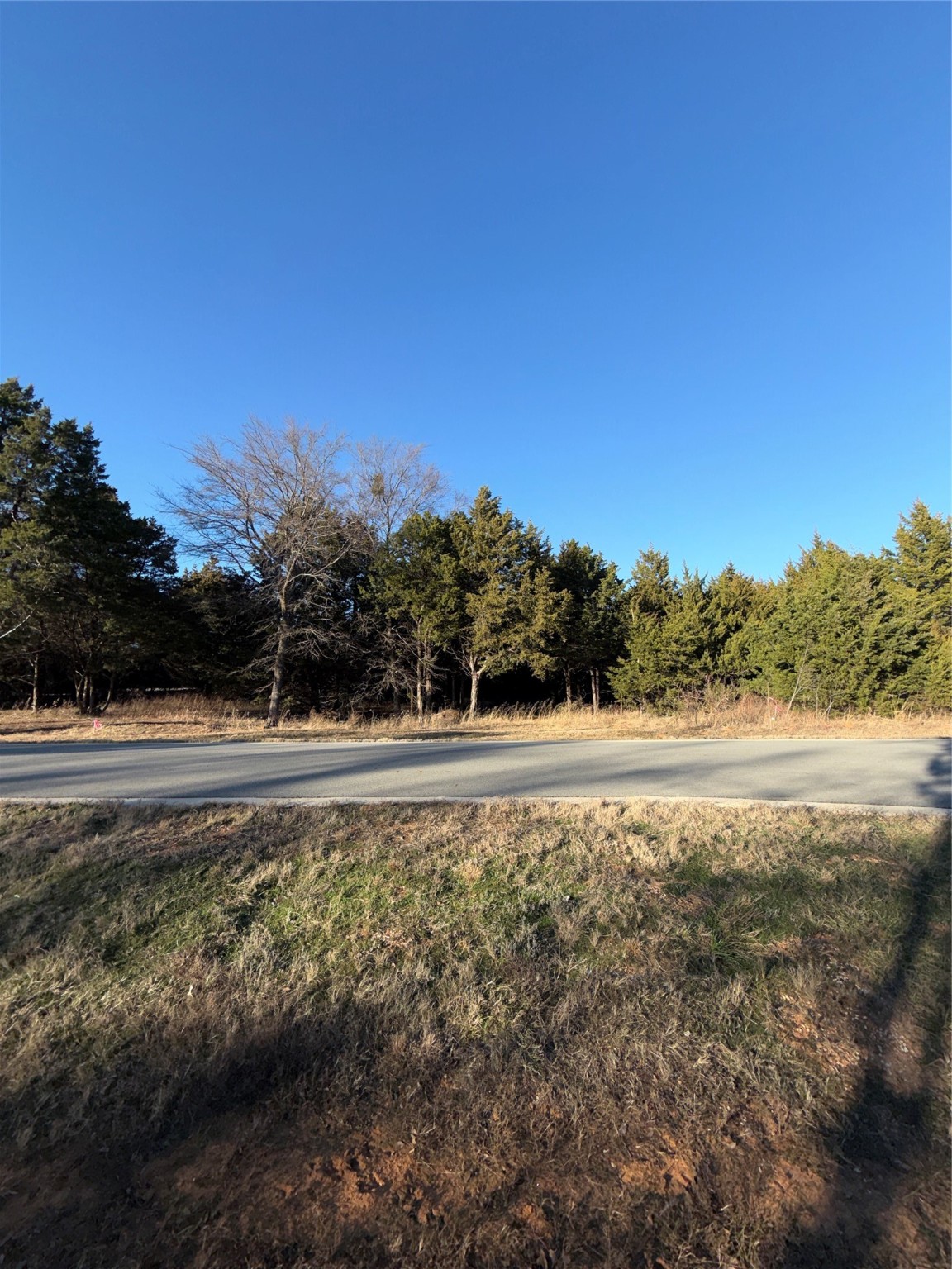 Lot 3 Forest Hills Drive Gordonville TX 76245