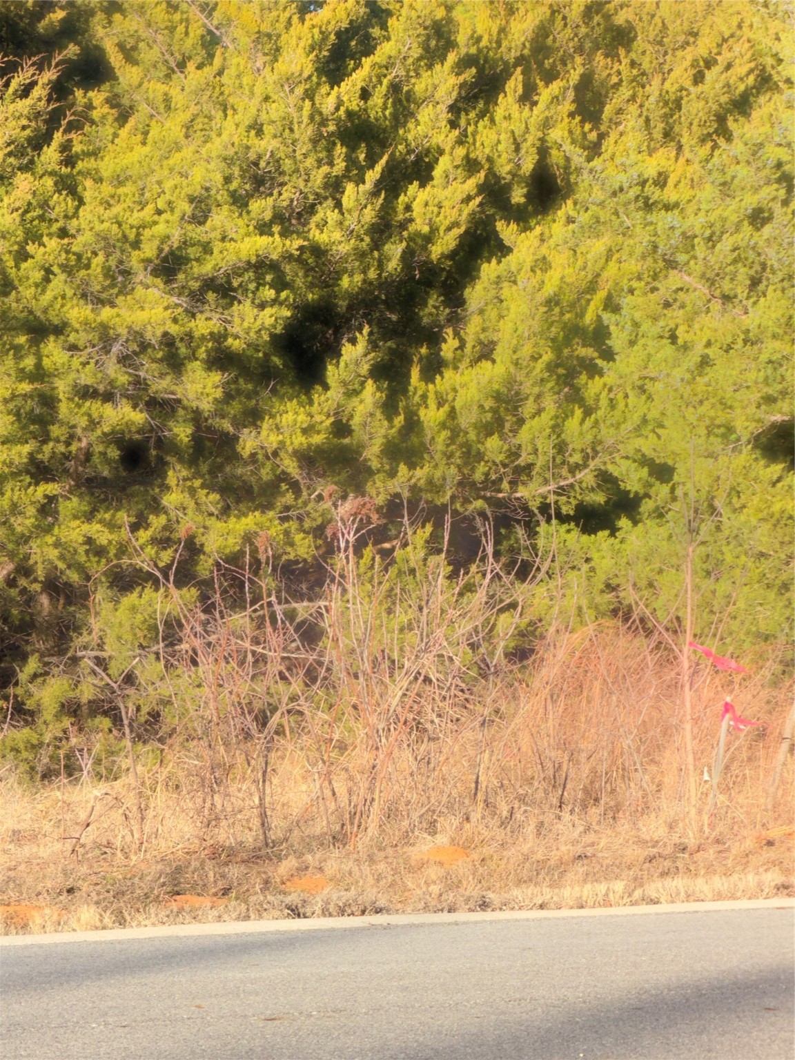 Lot 3 Forest Hills Drive Gordonville TX 76245