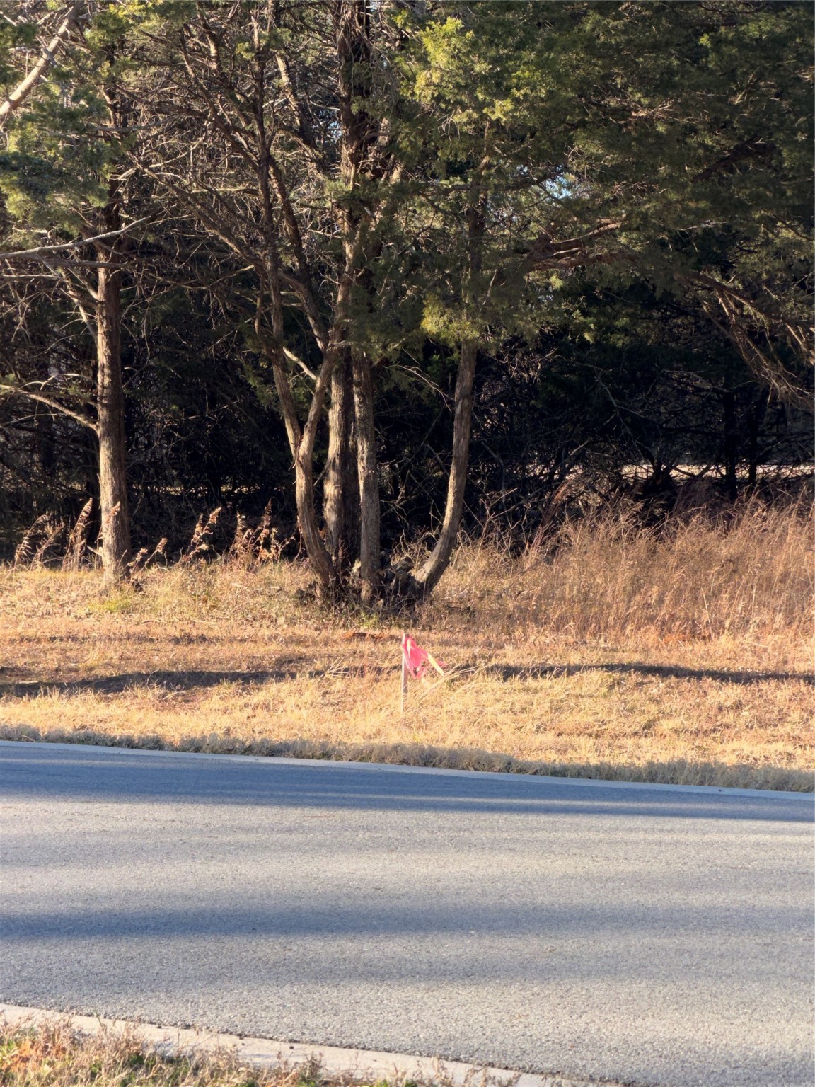 Lot 3 Forest Hills Drive Gordonville TX 76245