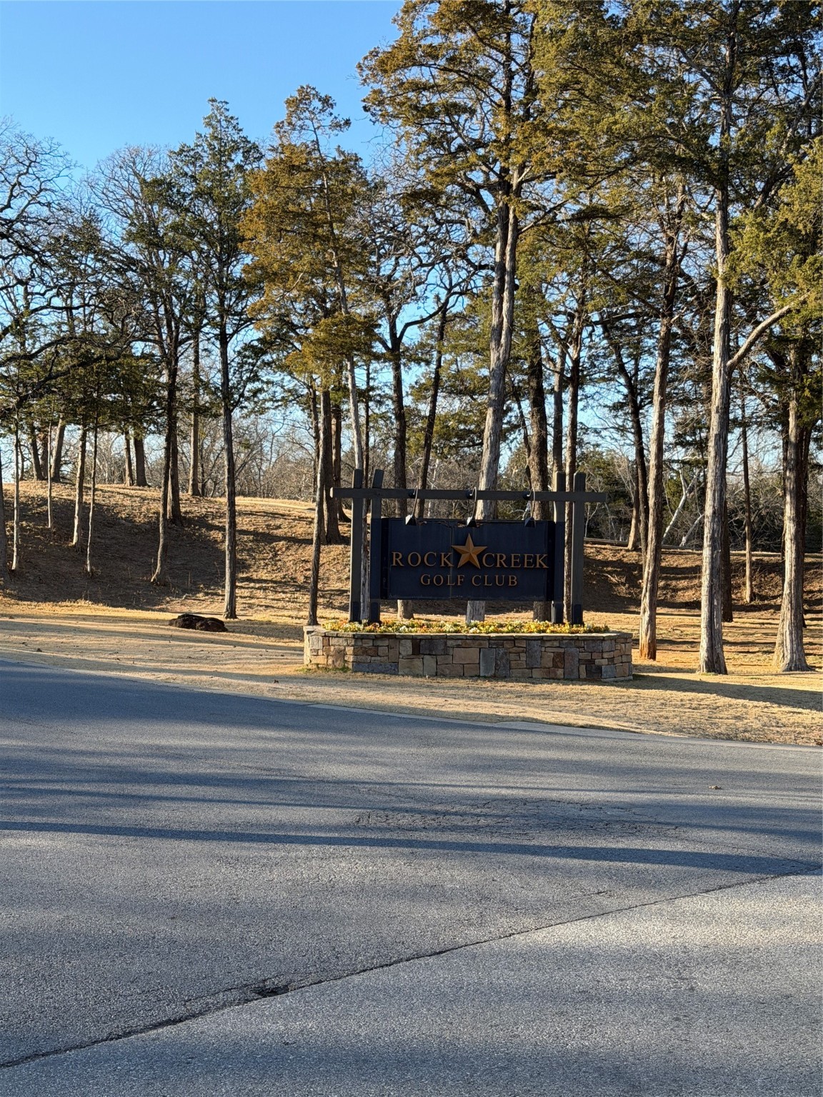 Lot 3 Forest Hills Drive Gordonville TX 76245