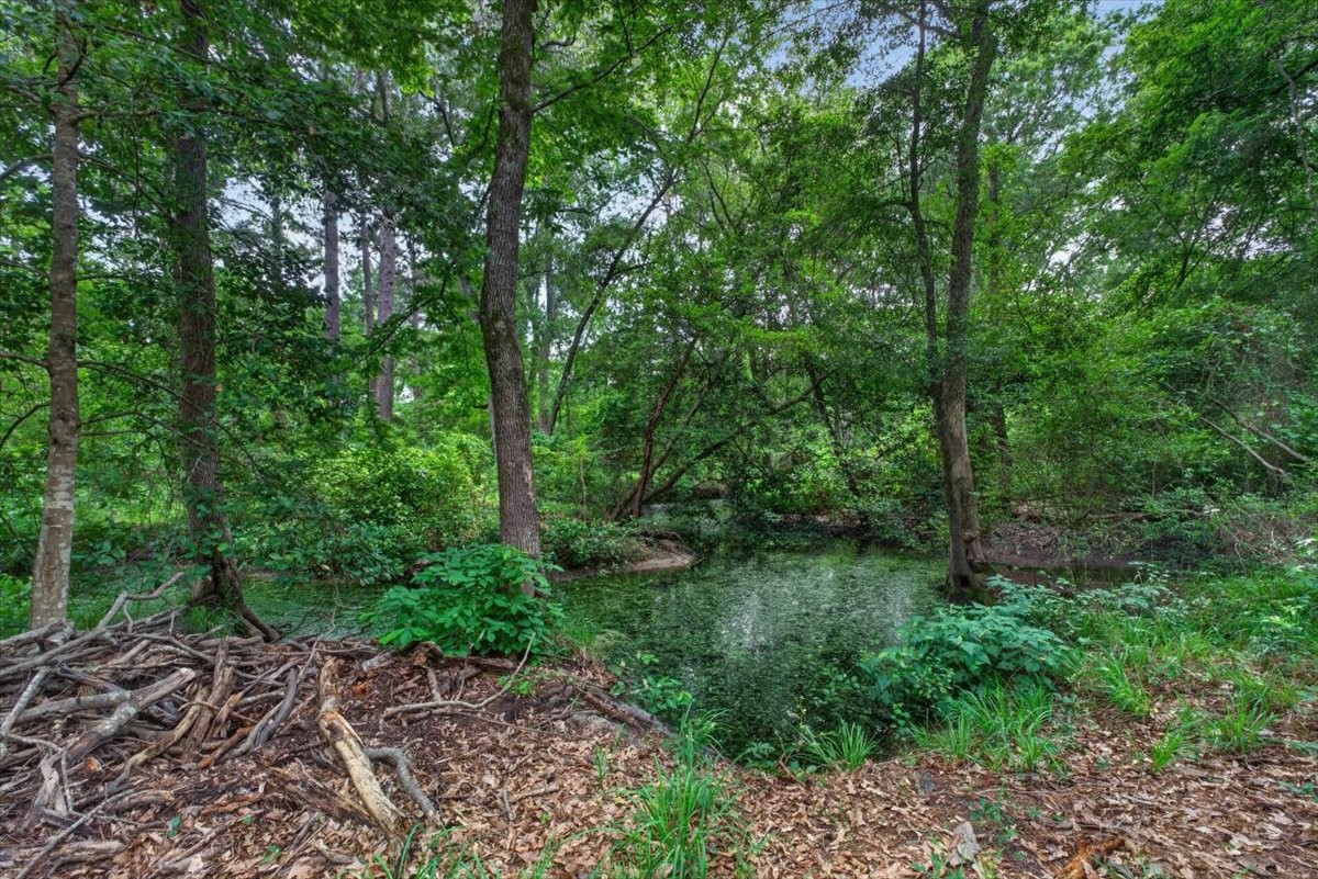 21277 Joe Paul Lane Chandler TX 75758