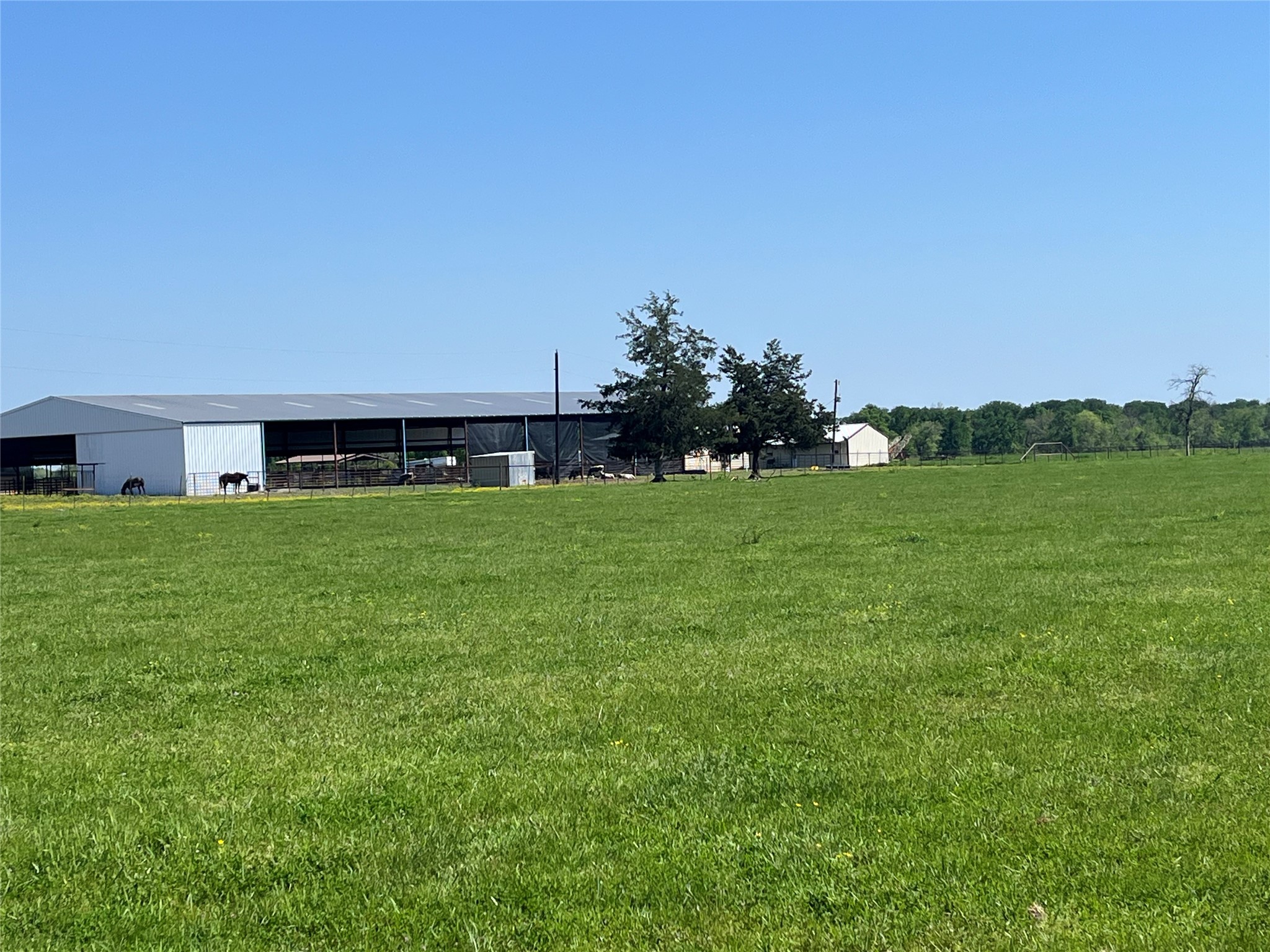 4798 E Fm 198 Lake Creek TX 75450