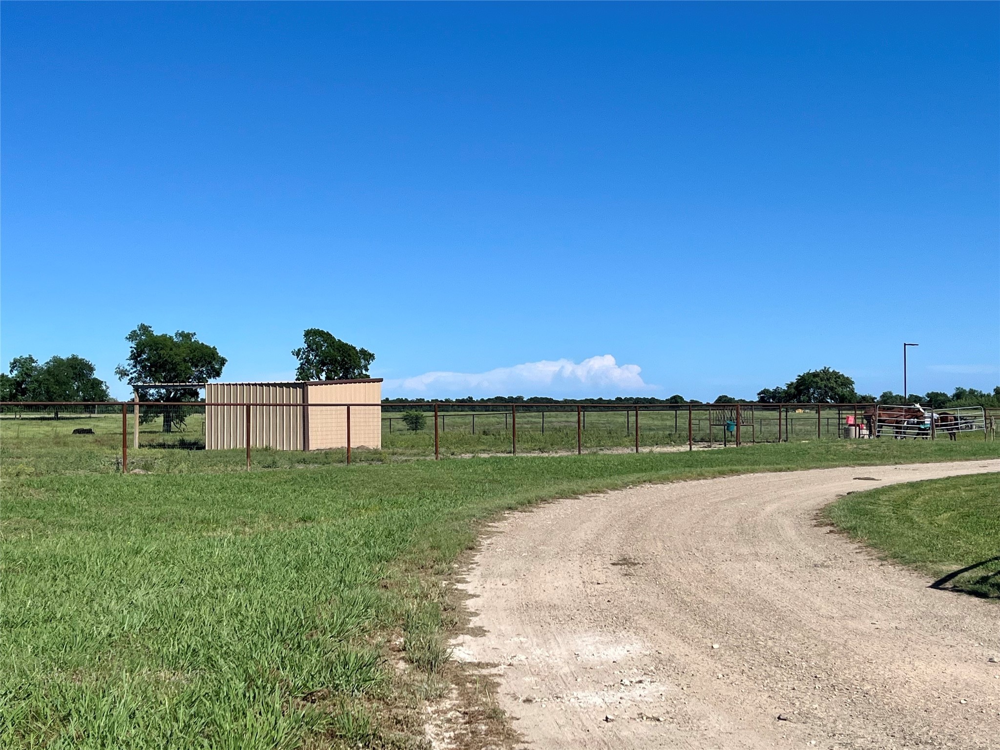 4798 E Fm 198 Lake Creek TX 75450