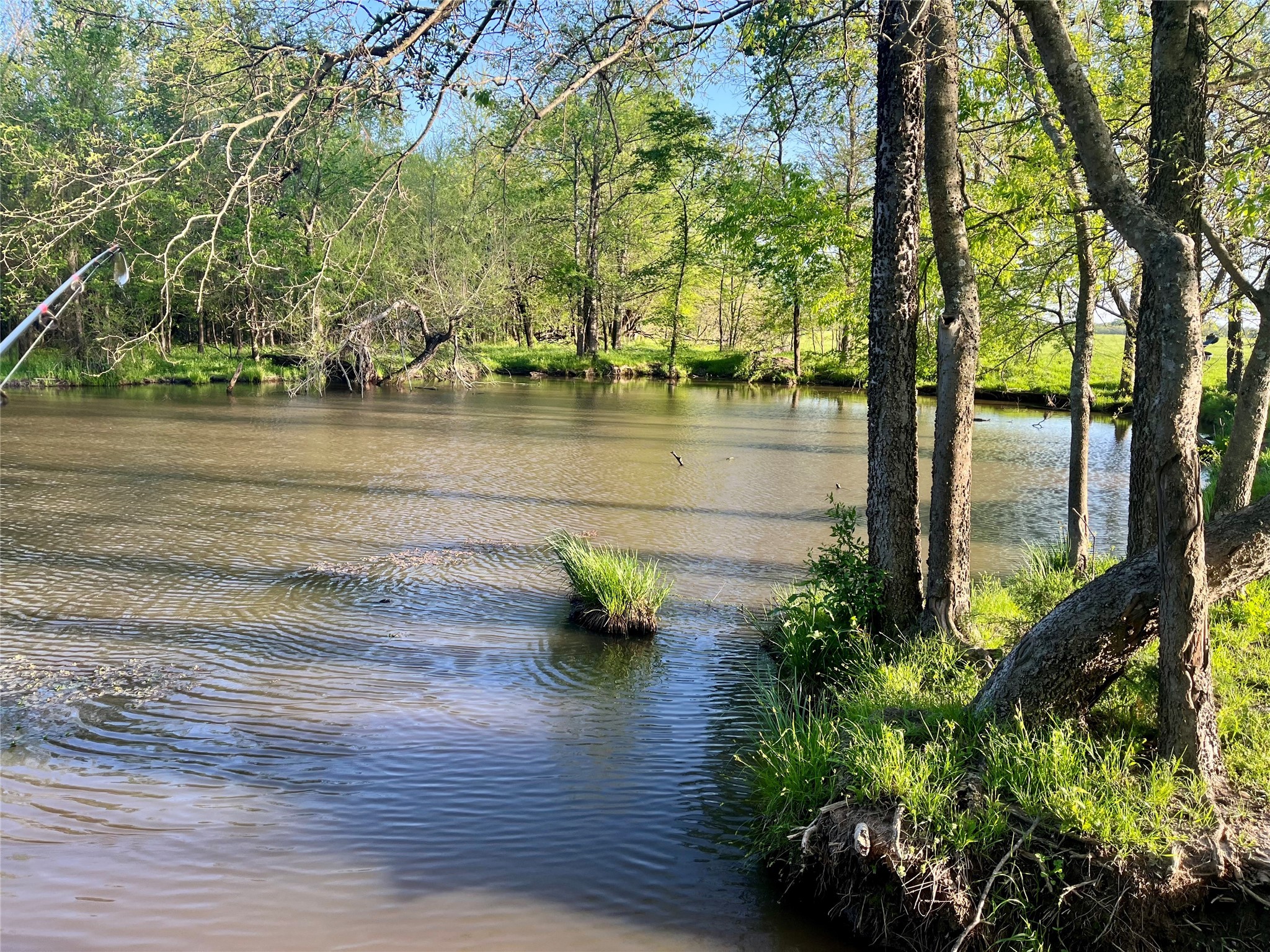 4798 E Fm 198 Lake Creek TX 75450