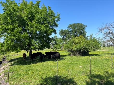 4798 E Fm 198 Lake Creek TX 75450