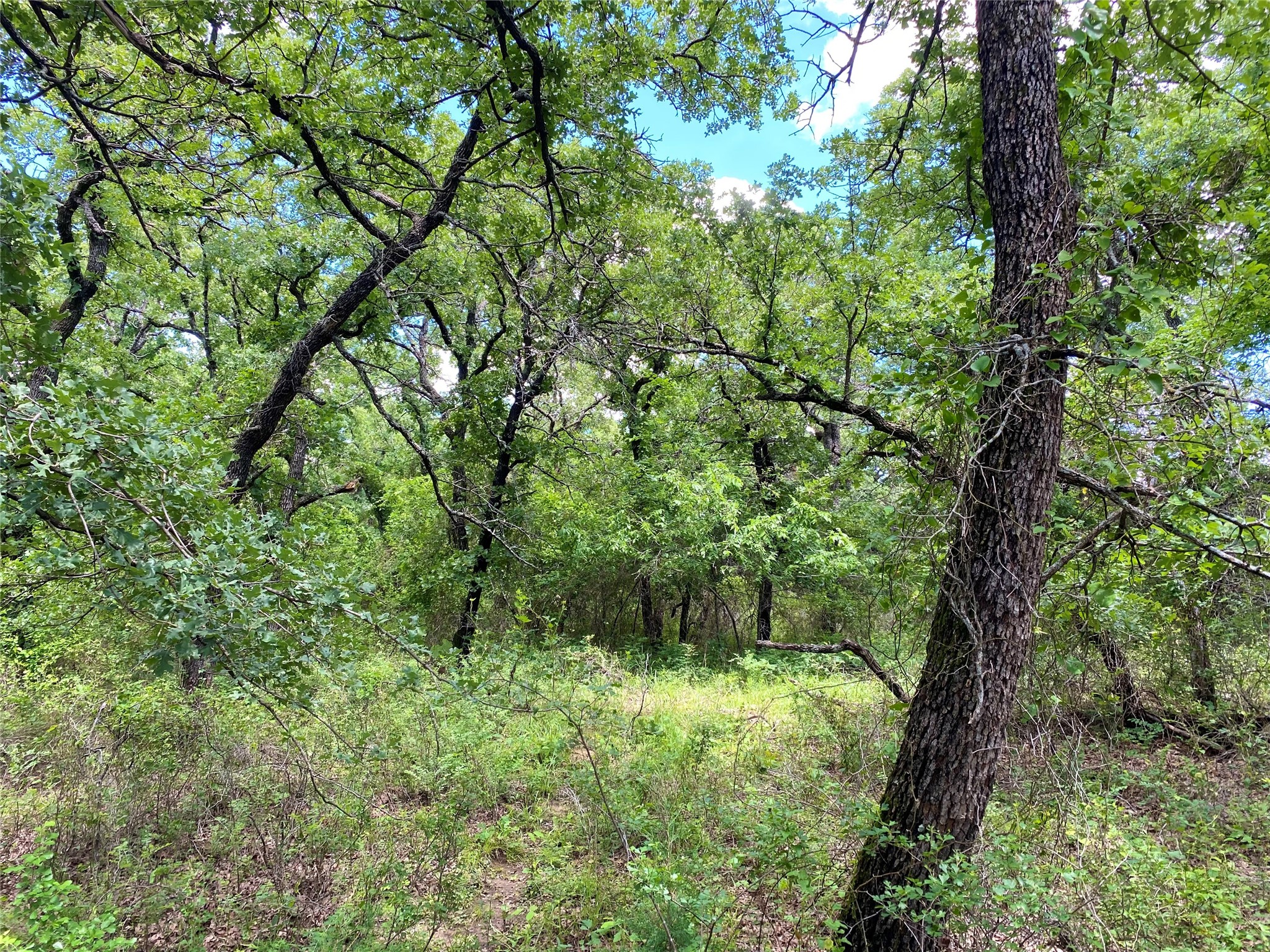 106 Hondo Drive Nocona TX 76255
