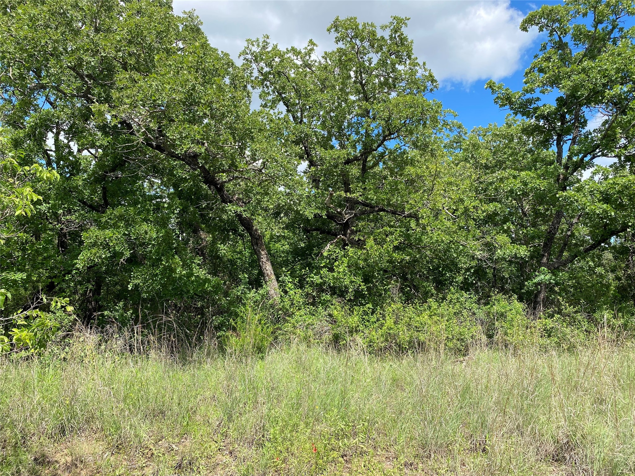 106 Hondo Drive Nocona TX 76255