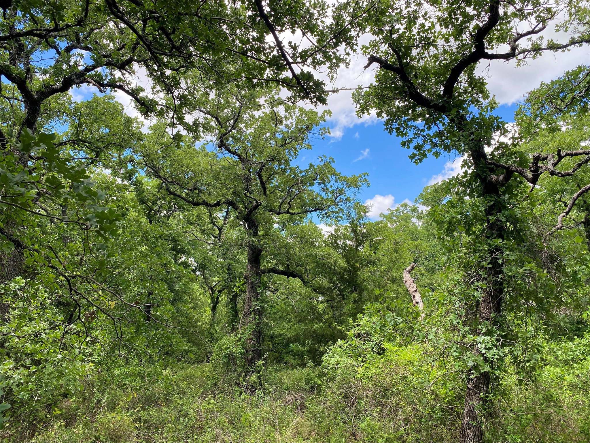 106 Hondo Drive Nocona TX 76255