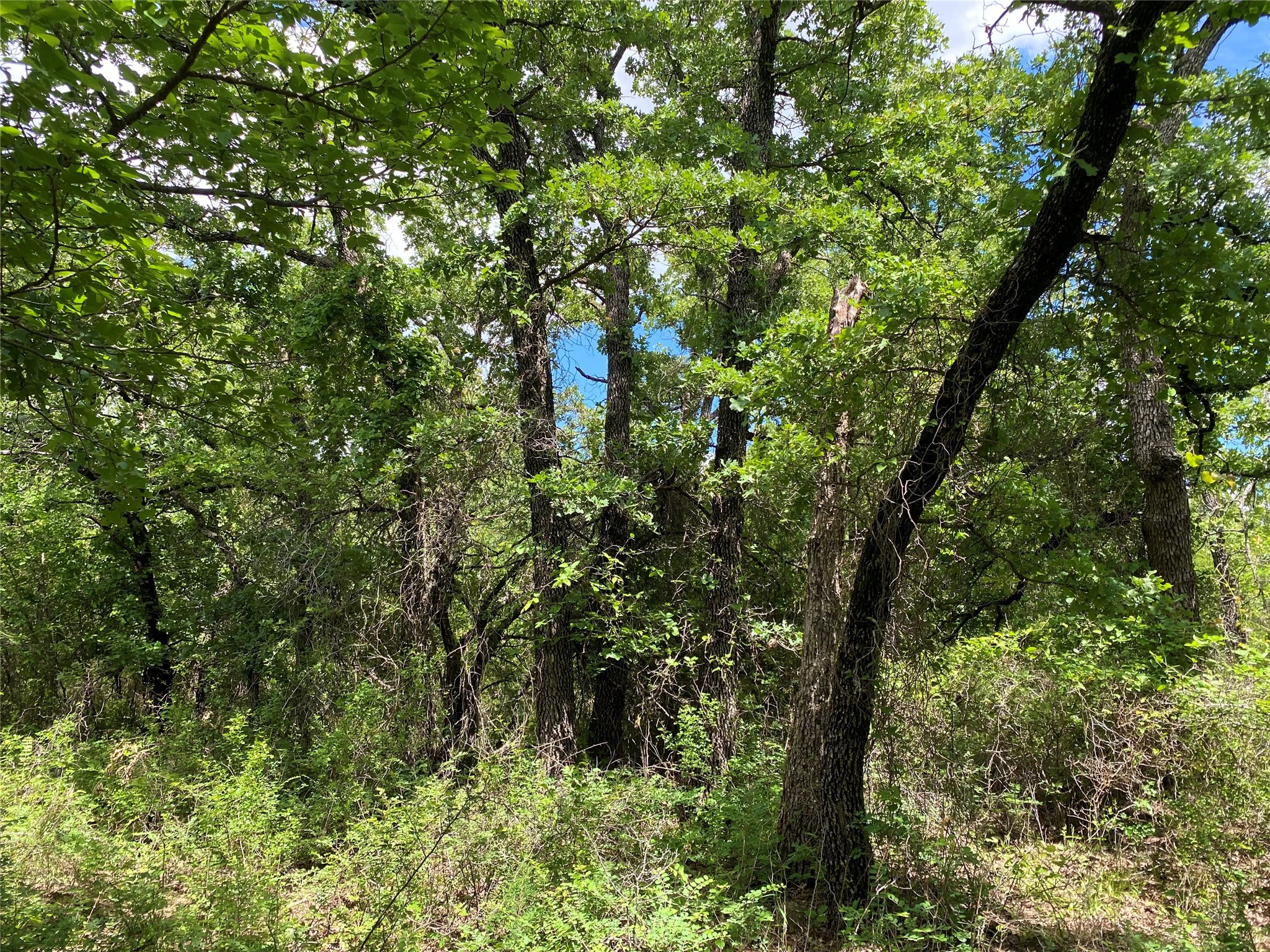 106 Hondo Drive Nocona TX 76255