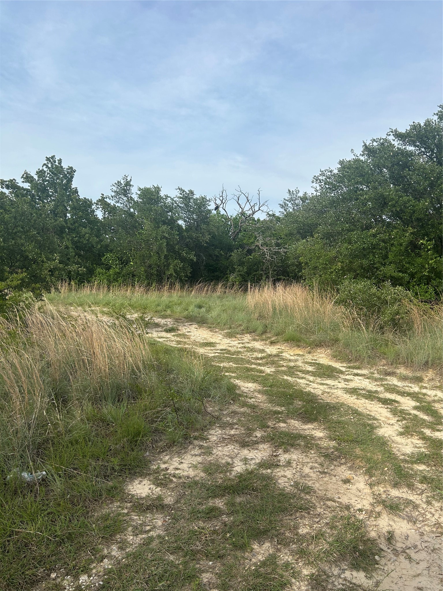 186 Pr 3873 Poolville TX 76487