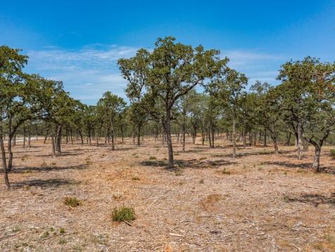 Lot 12 Choate Bowie TX 76230