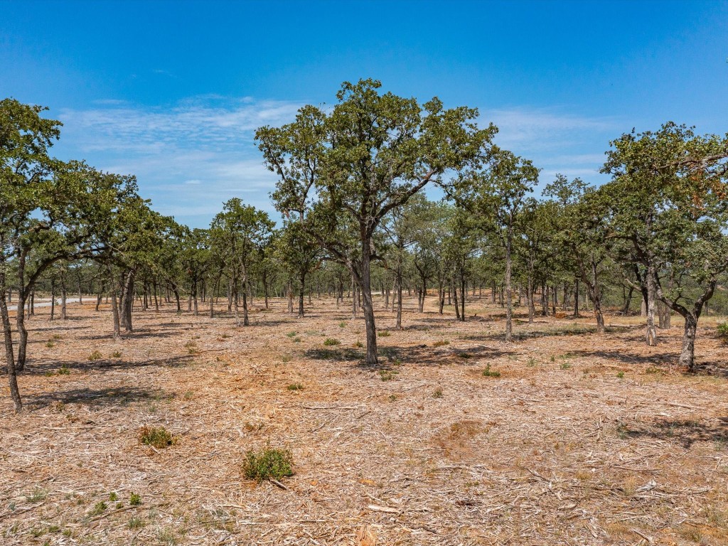 Lot 12 Choate Bowie TX 76230