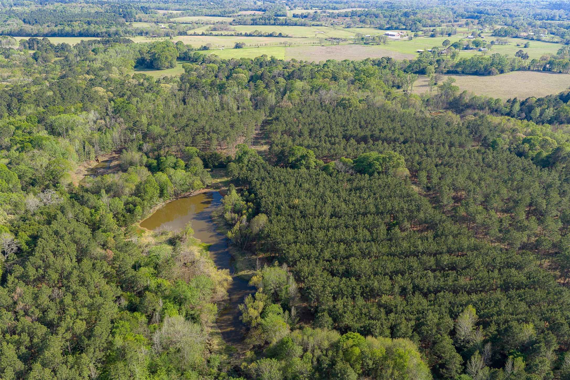 00 Farm To Market Road 2022 Grapeland TX 75844